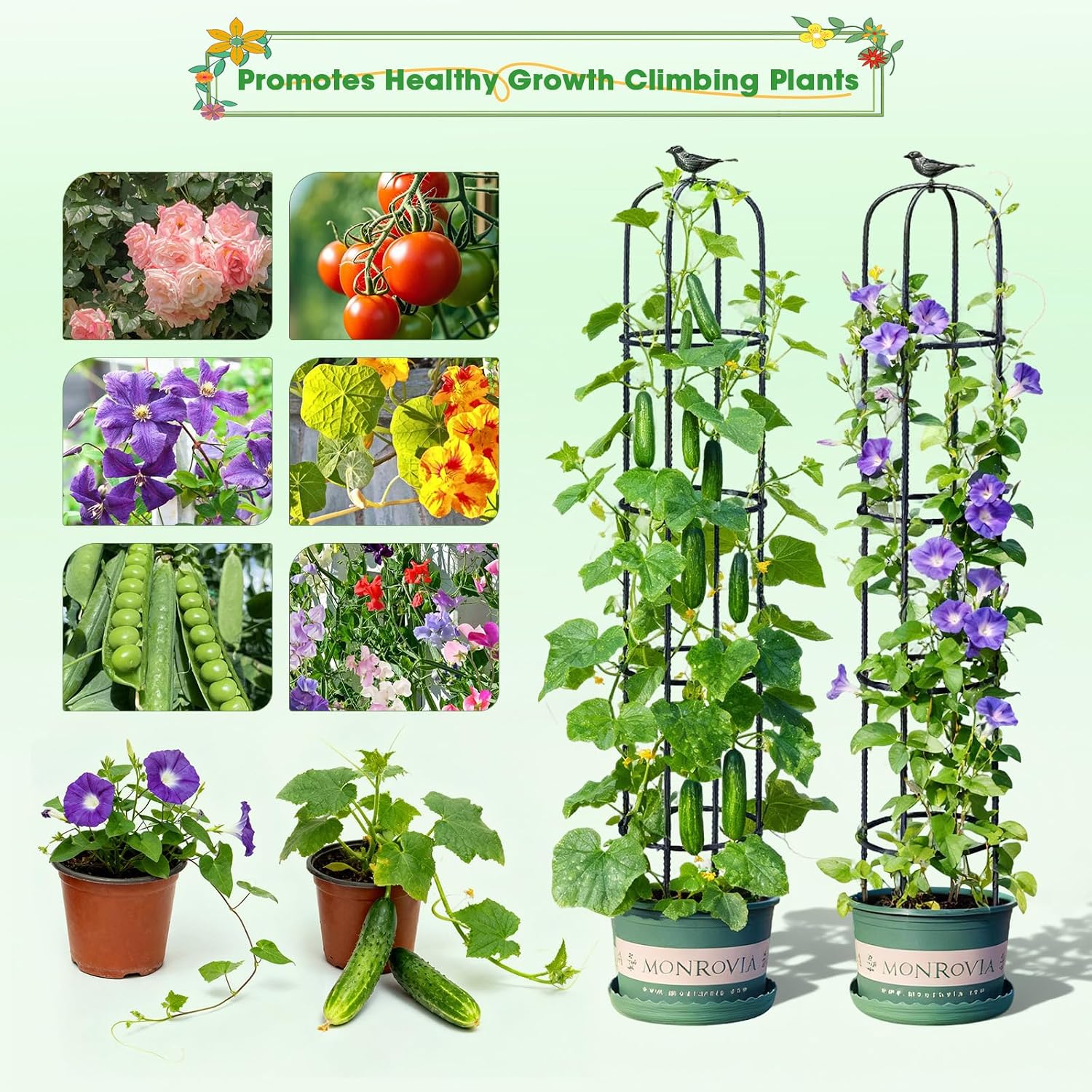 Detalle de MQUPIN Garden Obelisk Upgraded tower support for climbing plants (189cm)