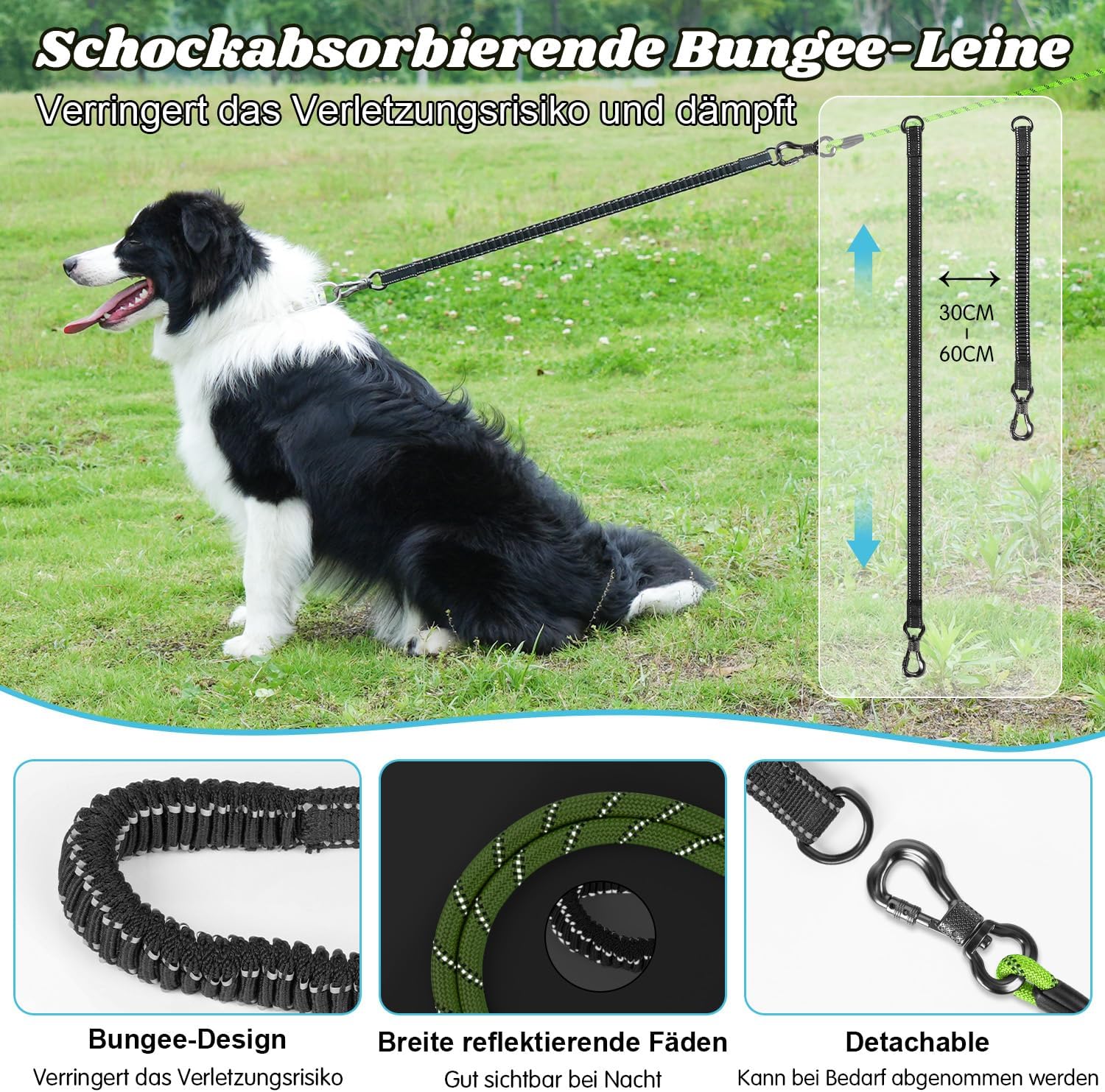 Detalle 2 de Aystkniet Schleppleine 5 m für Hunde