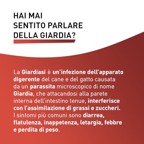 Detalle de Panacur Compresse 250mg – Vermifugo per cani e gatti, agisce contro Giardia e vermi intestinali