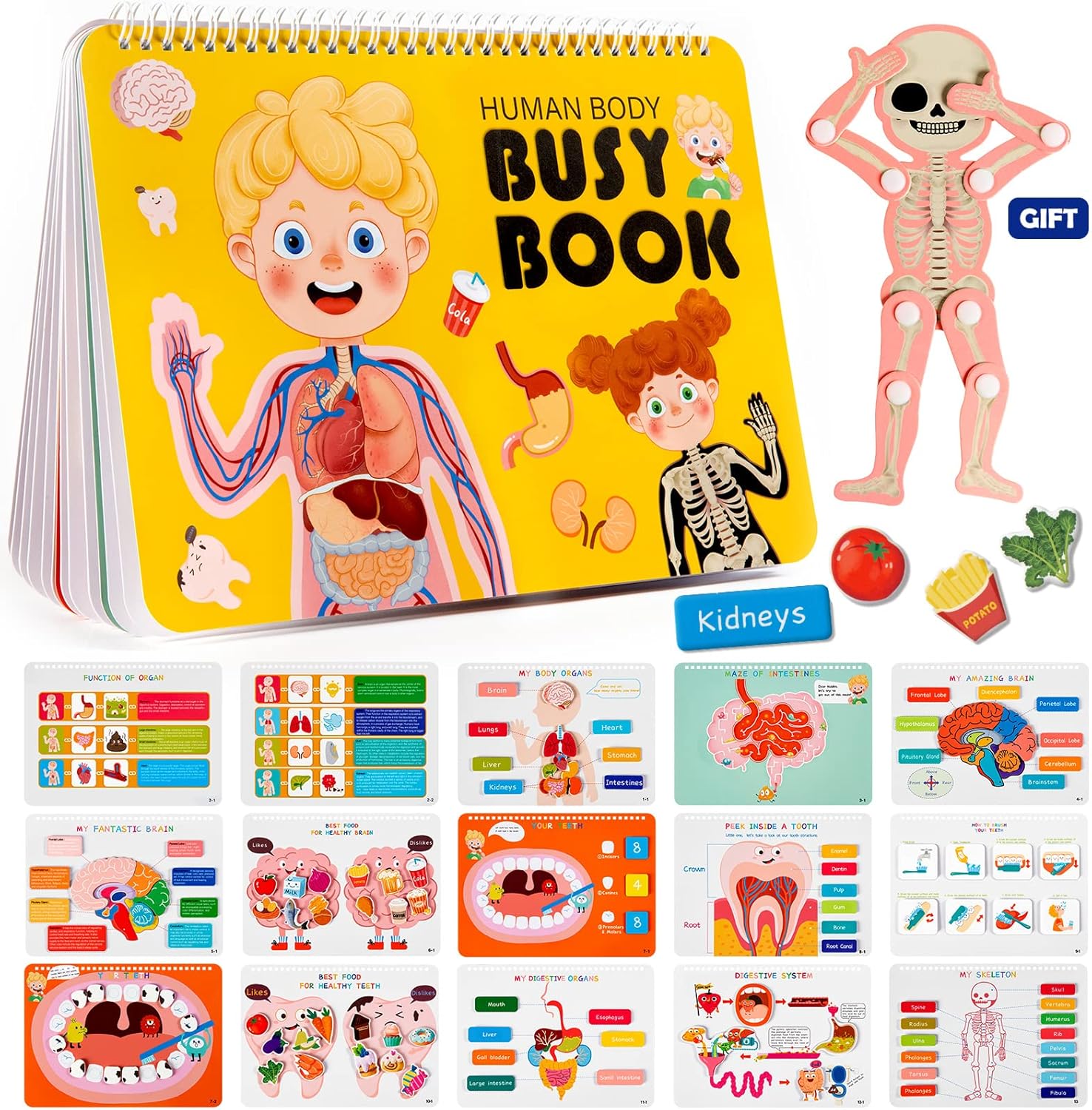 Detalle de Freebear Montessori Busy Book: Human Body Anatomy for Kids