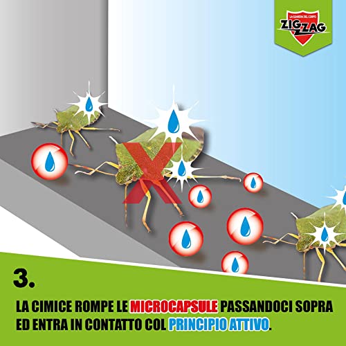 Thumbnail 4 de ZIG ZAG Cimici 500 ml: insetticida microincapsulato a lenta liberazione per uso interno/esterno
