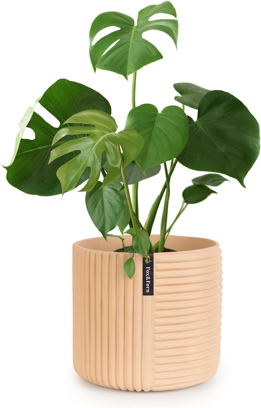 Detalle de Fox & Fern PP-ROUND-POLY-L-MW Large Planter, Sand, Line Structure