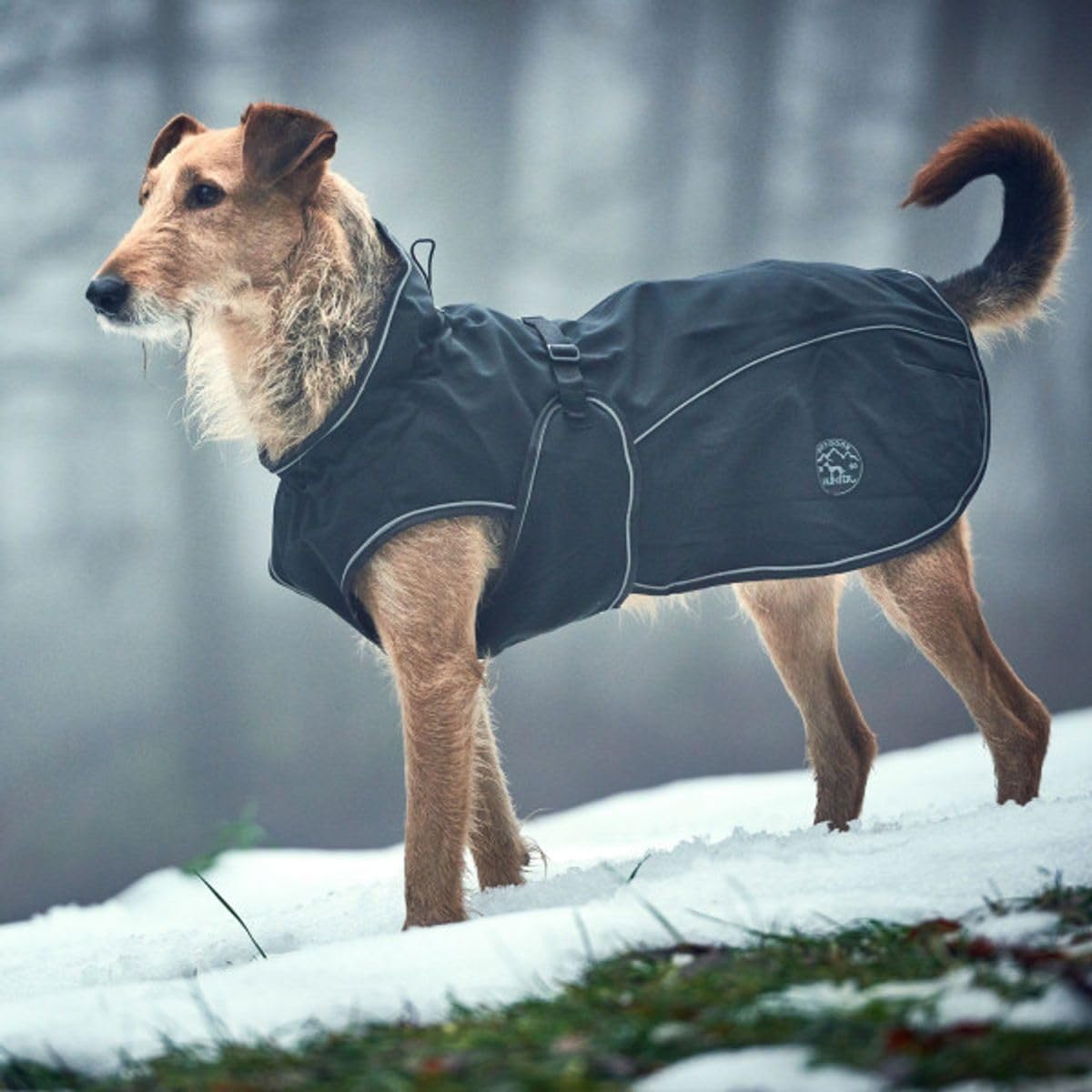 Detalle 2 de HUNTER Hundemantel UPPSALA 40 – 2in1, schwarz, wasserdicht mit reflektierenden Paspeln