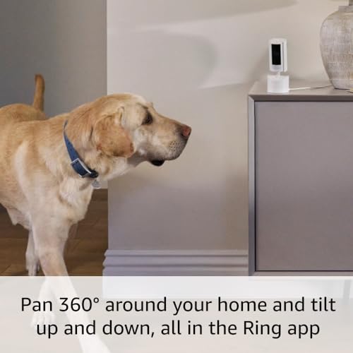 Detalle de Ring Pan-Tilt Indoor Cam (Newest Model) – 360° HD Security with Two-Way Talk