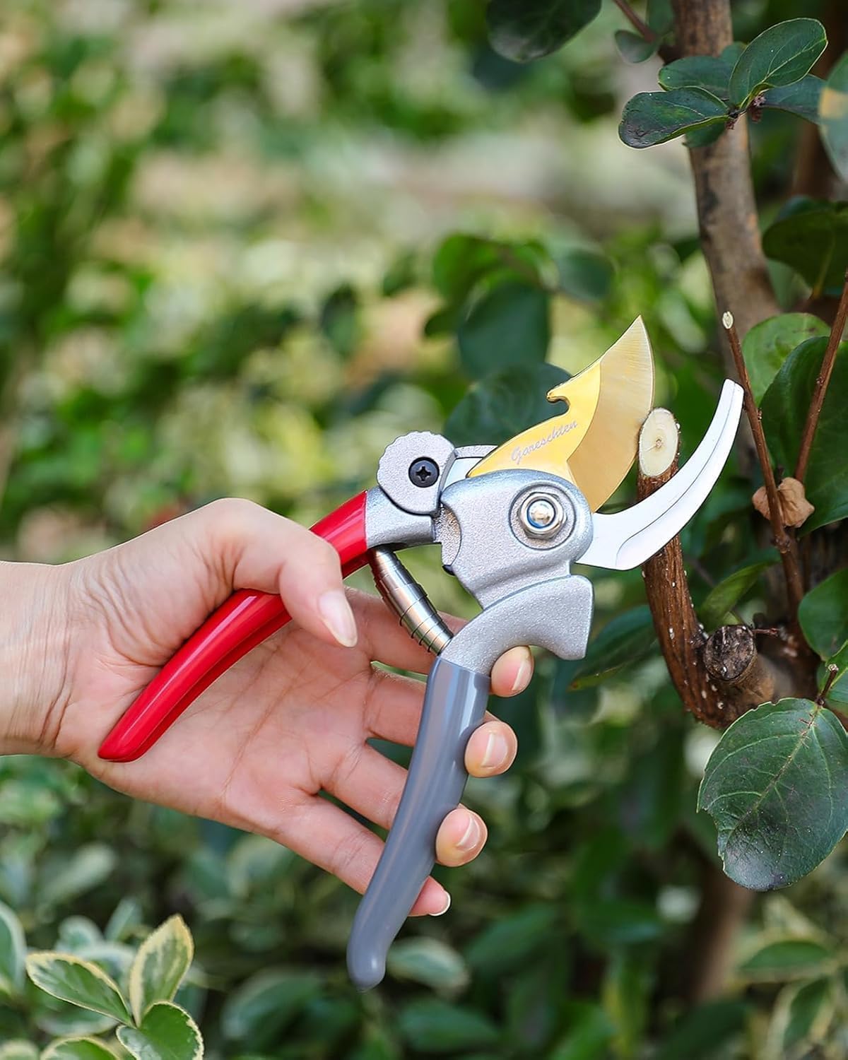 Detalle 2 de Gareschten Ersatzfeder für Gartenschere – 60 mm, 6 mm Öffnung, T316-Edelstahl