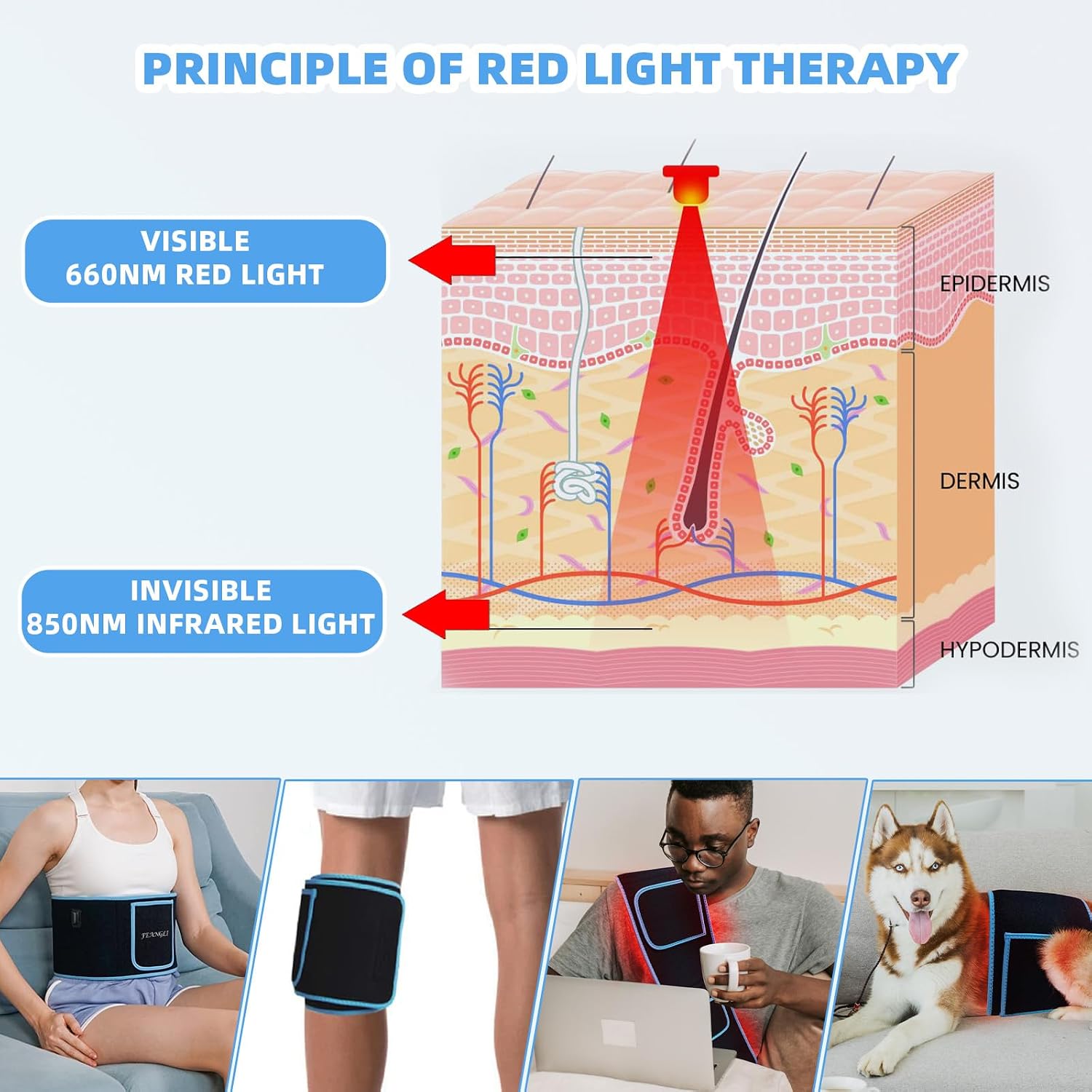 Detalle de Red Light Therapy Belt with 3-Chip 660nm/850nm LEDs for Body Pain Relief