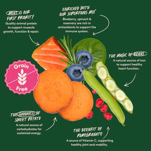 Detalle 2 de Harringtons Superfoods Dry Adult Dog Food Salmon & Veg 12kg