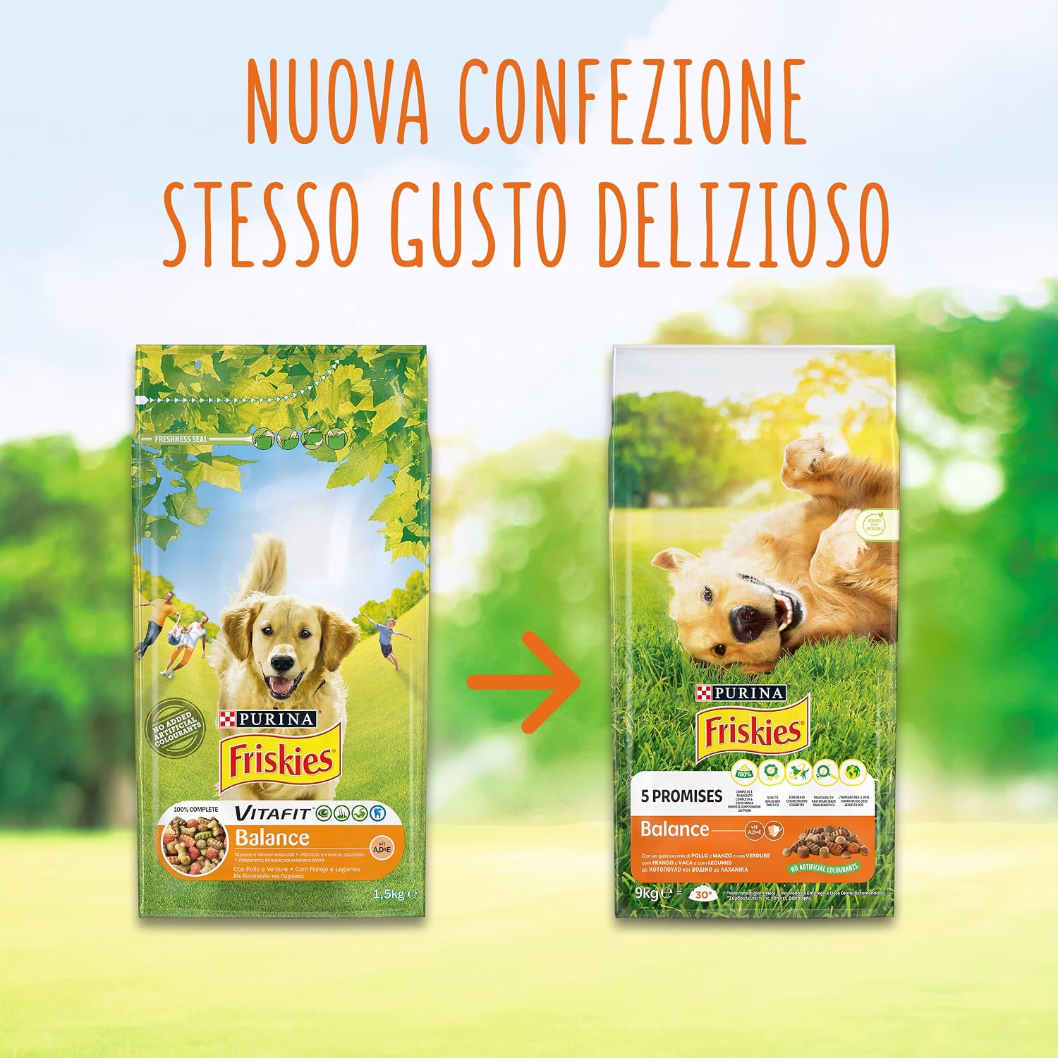 Detalle 2 de Purina Friskies Balance Trockenfutter für Hunde mit Huhn, Rindfleisch und Gemüse – 9 kg