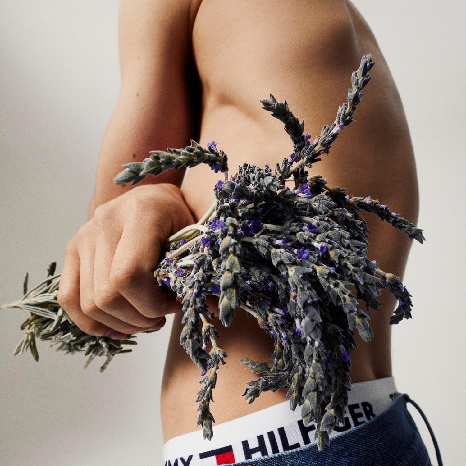 Thumbnail 4 de Tommy Hilfiger Tommy Eau de Toilette (50 ml) – Herren-Parfüm mit Fougère- und Zitrusnoten