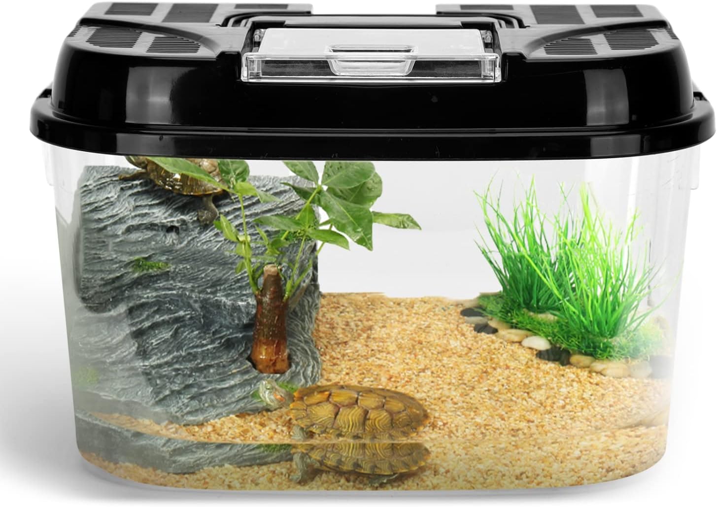 Thumbnail 6 de Nobleza terrario di plastica per rettili S (17,8×12×12,7 cm) con coperchio ventilato e maniglia