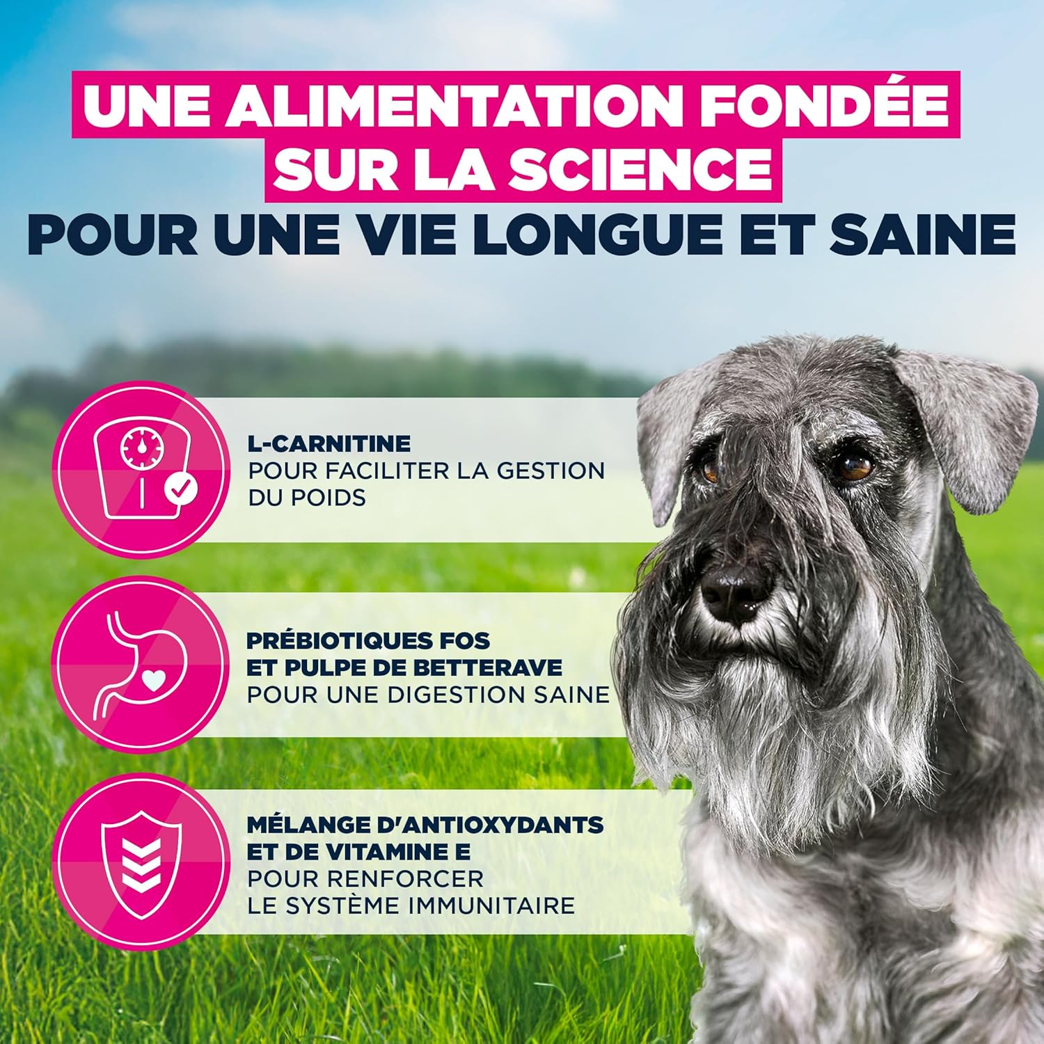 Detalle de EUKANUBA Life Care Croquettes Chien Senior Petite Race dès 11 ans – Riche en poulet frais, 3 kg