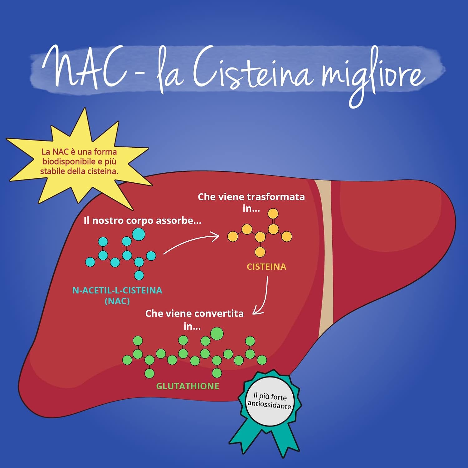 Thumbnail 4 de Vegavero NAC N‑Acetil‑Cisteina 600 mg, 180 capsule 💊