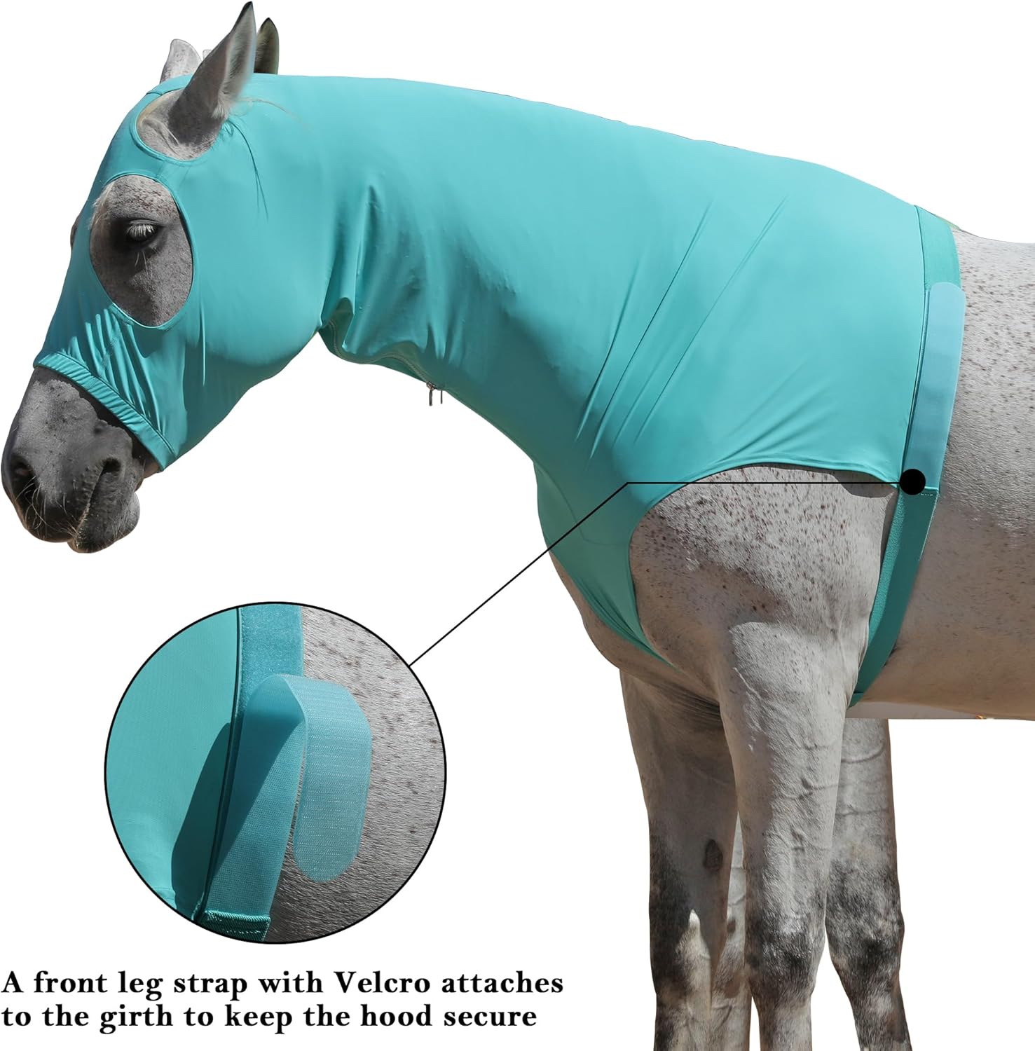 Thumbnail 3 de Horse Stretch Hood with Zipper Large