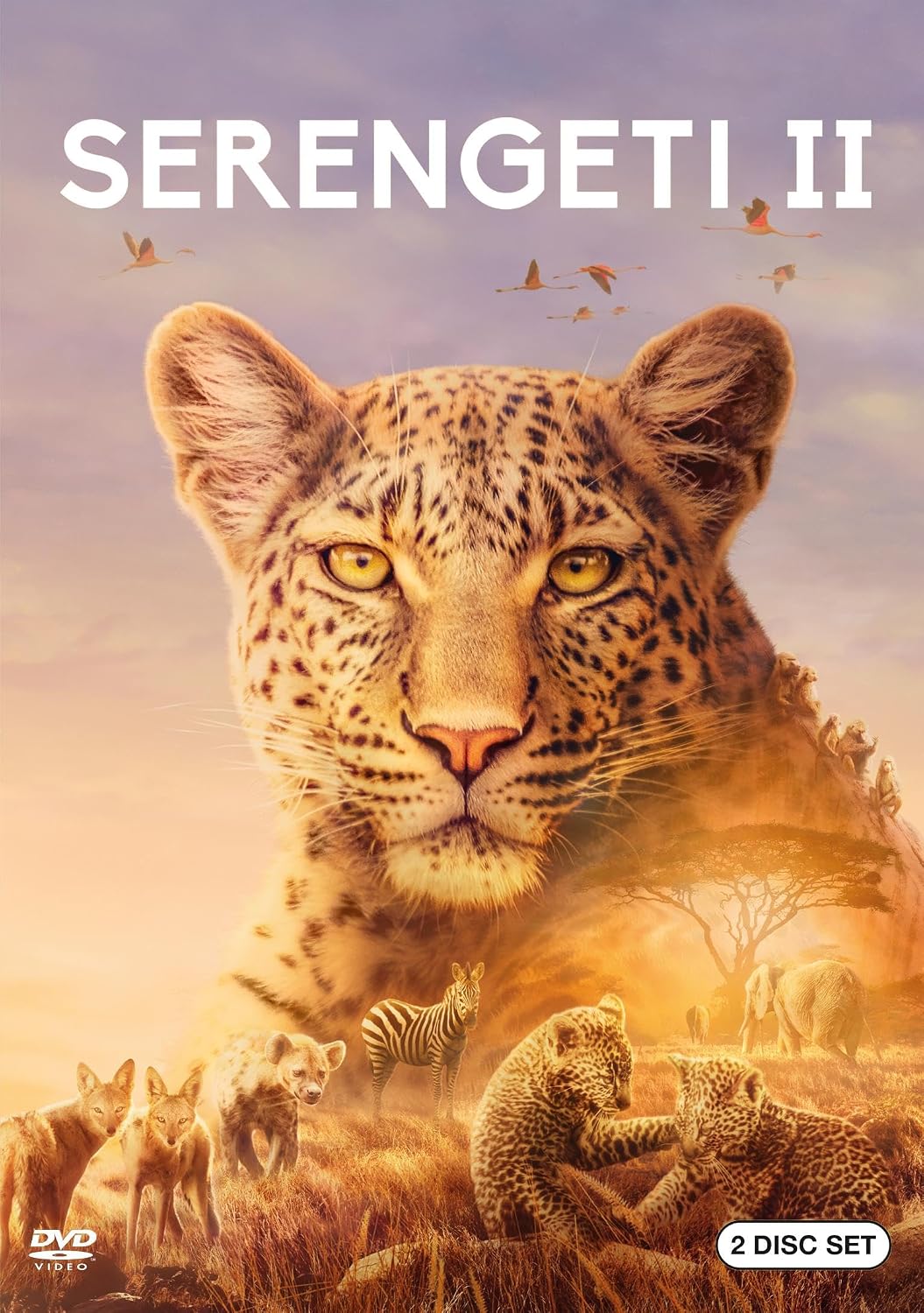 Detalle de Serengeti II DVD – English-Language Wildlife Series, 6 Hours, 2 Discs