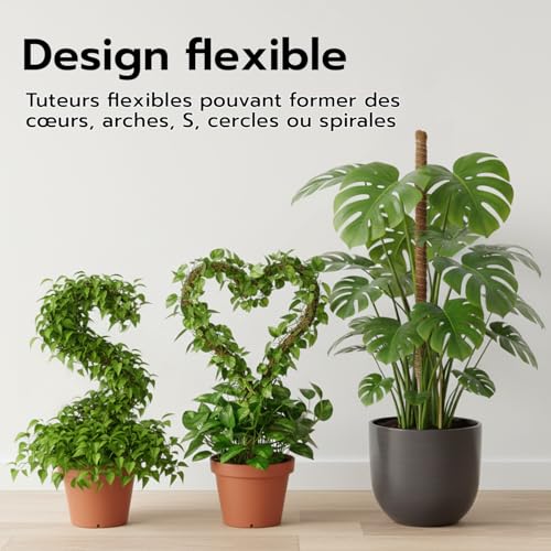 Detalle de Wigearss 2 Pièces Tuteur Plante Grimpante en Coco sur Piquet 60 cm – Support flexible pour Monstera et Vignes d’intérieur