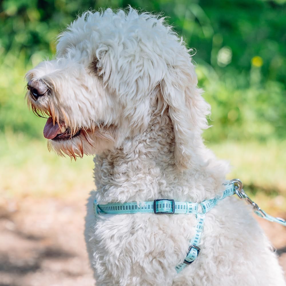 Thumbnail 2 de Nobby Geschirr Soft Grip (braun) – Brust 30–40 cm, Breite 10 mm