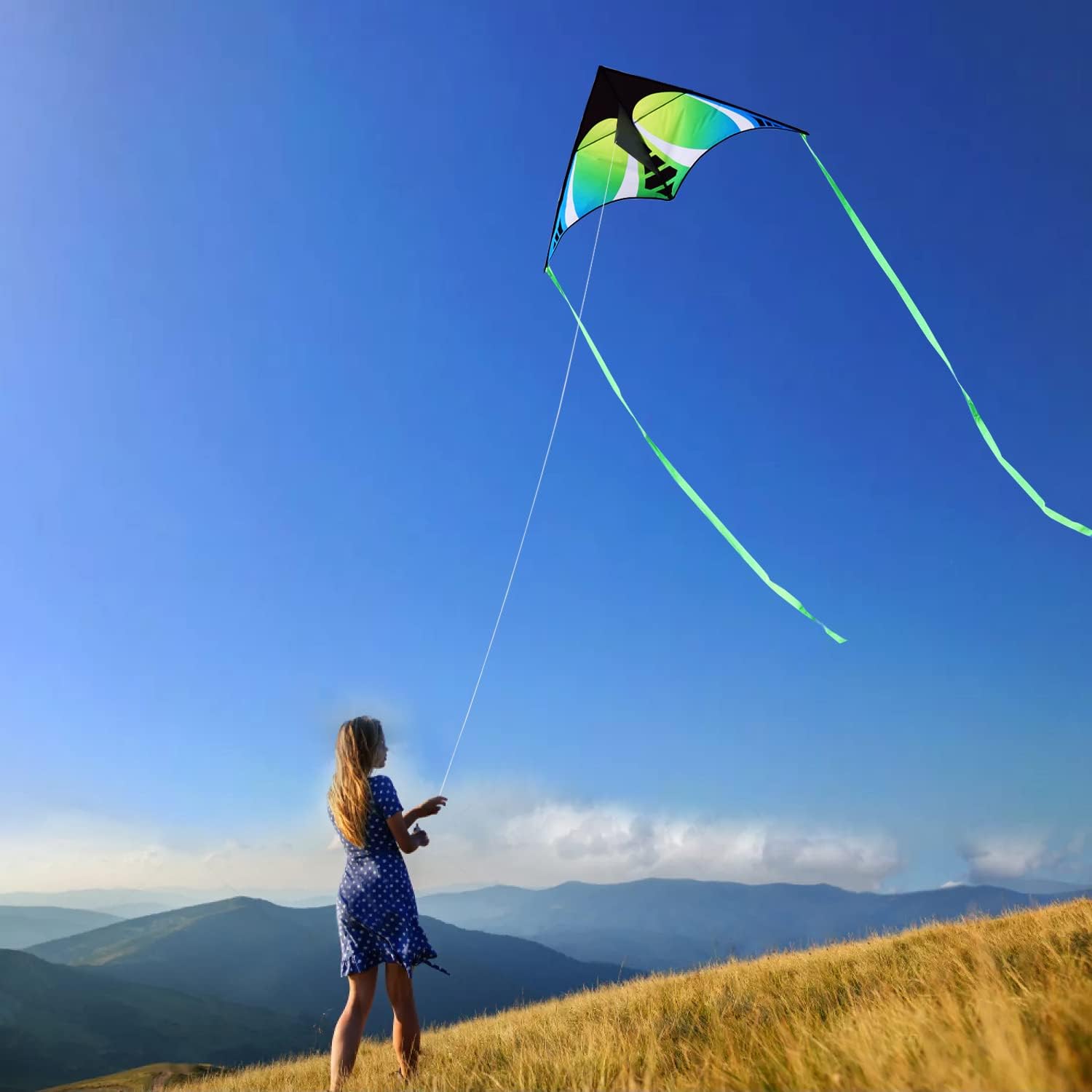 Detalle de HONBO Large Delta Kite for Kids and Adults – Beach Fun with 200ft Line
