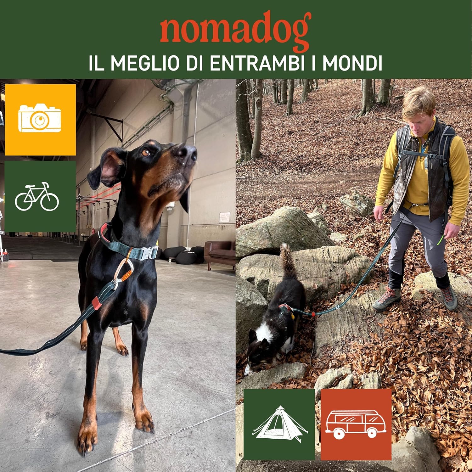 Thumbnail 5 de Nomadog Trailblazer: Guinzaglio per Cani Multifunzionale 6-in-1 con Moschettone Girevole, 1,4–2,4 m, Riflettente