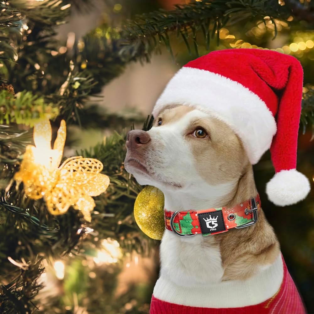 Detalle 2 de TSPRO Taktisches Hundehalsband 3,8 cm