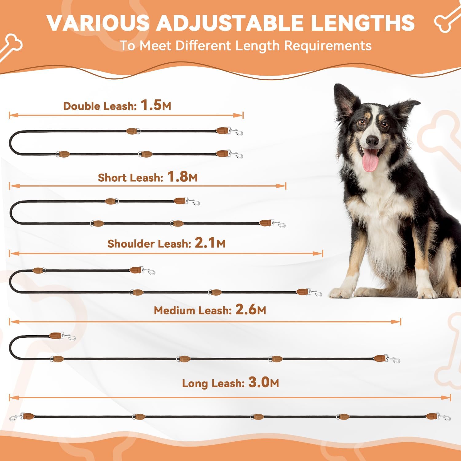 Detalle de PETCOOZ Training Lead for Dogs: 3M Double Ended, Adjustable & Hands-Free for Medium–Large Dogs