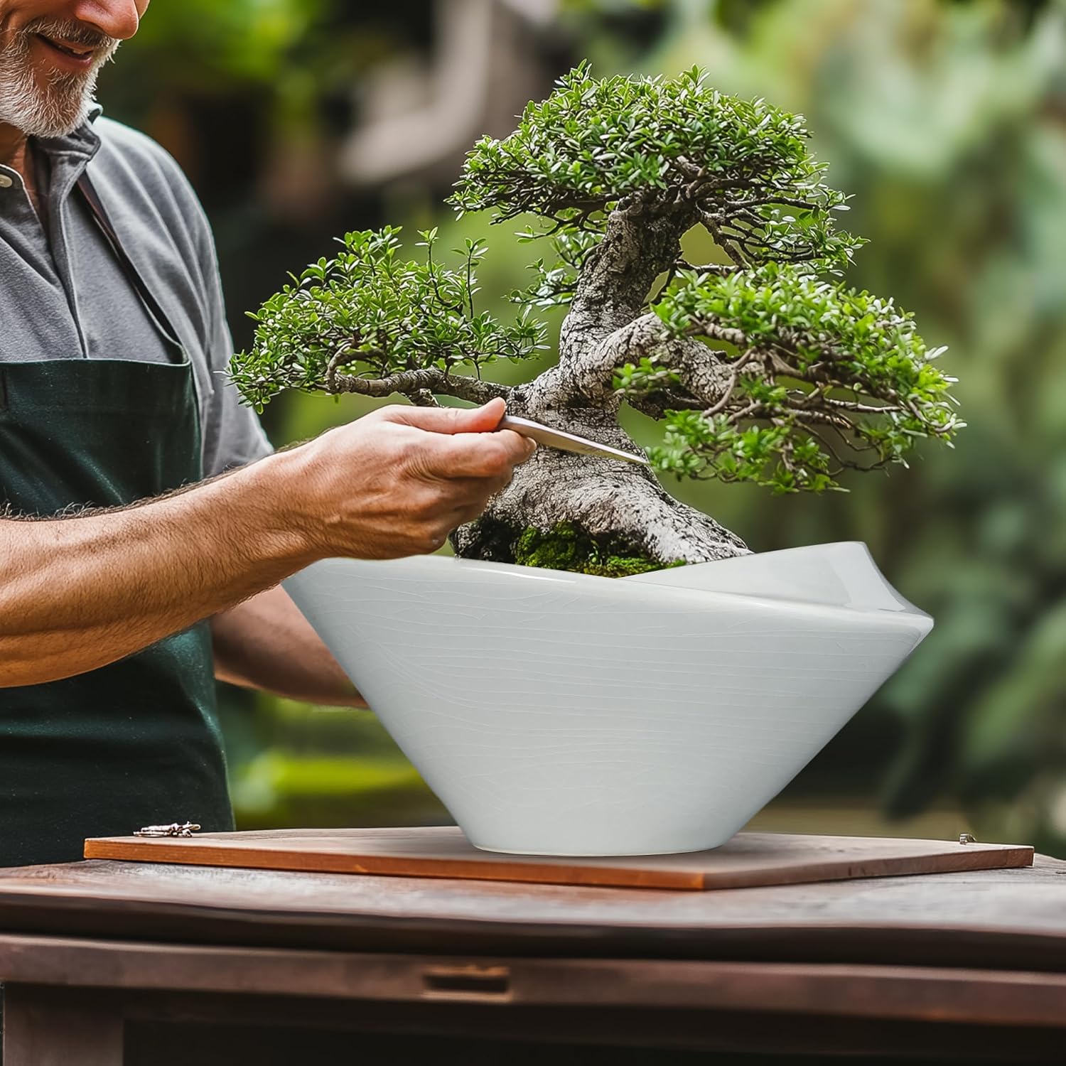 Detalle 2 de Teagas Bonsai Pots 13 Inch Ceramic Planter