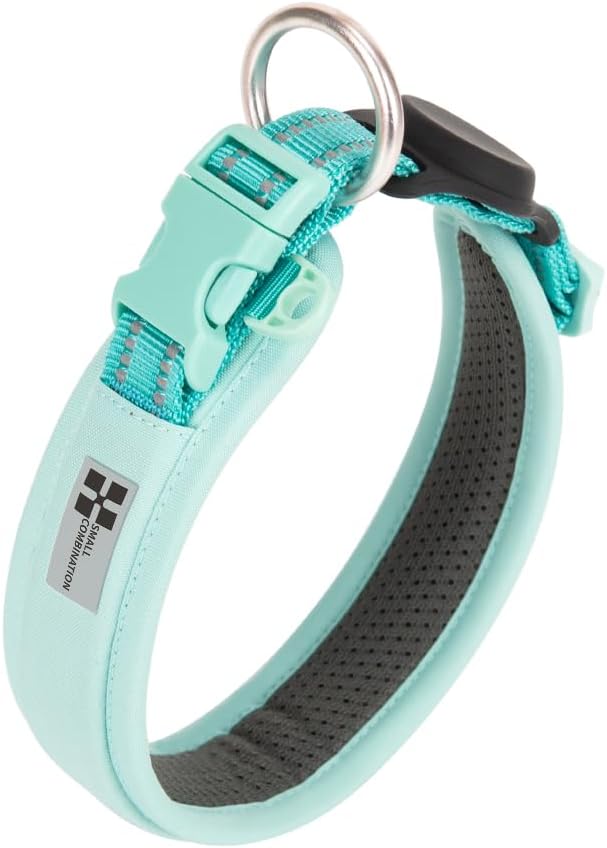 Detalle de Small Combination Adjustable Pet Dog Collar, Turquoise and Black (Aqua Green, M)