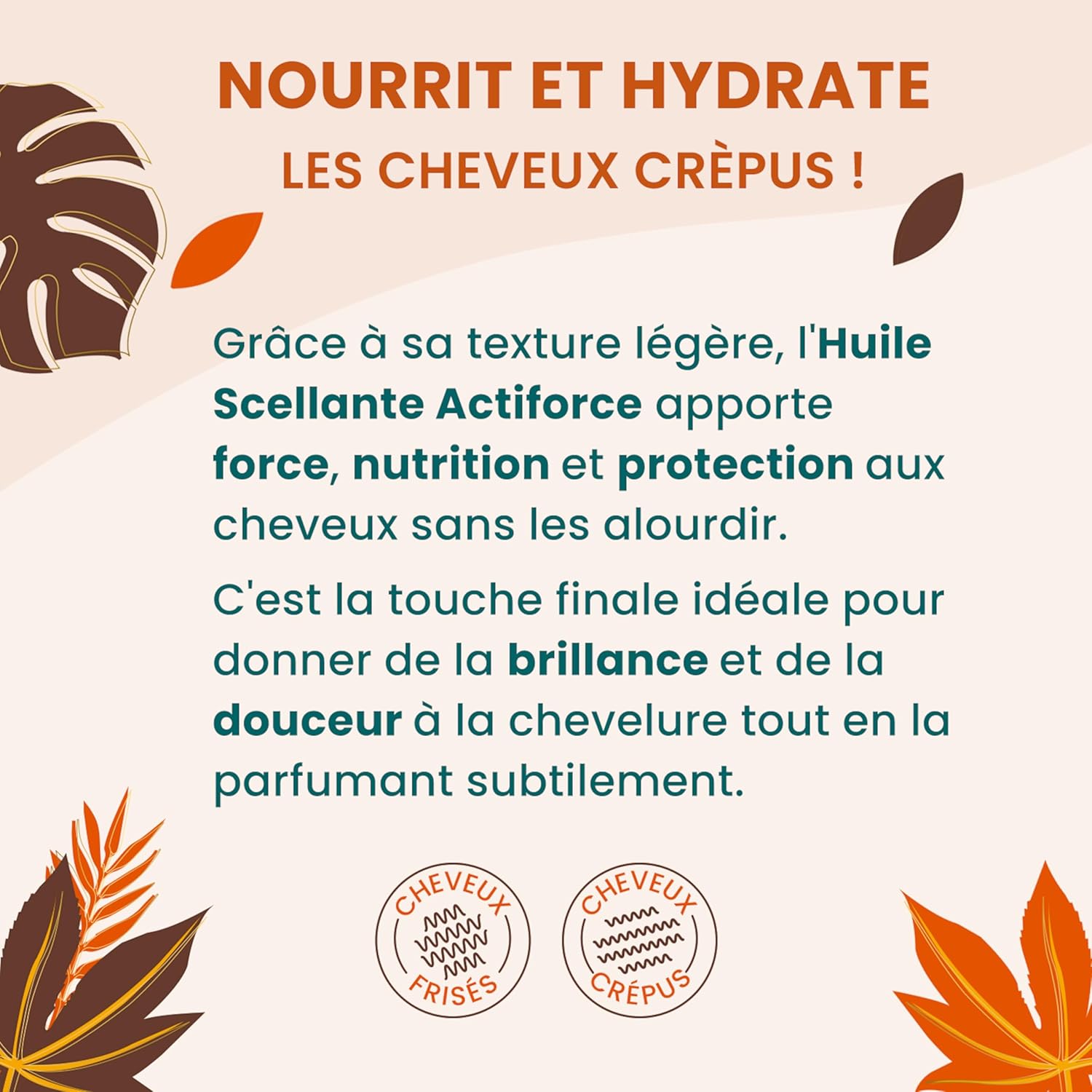 Thumbnail 2 de ACTIVILONG Huile Scellante Actiforce 99% d’ingrédients naturels – Hydrate, nourrit et protège (cheveux frisés et crépus) 100 ml