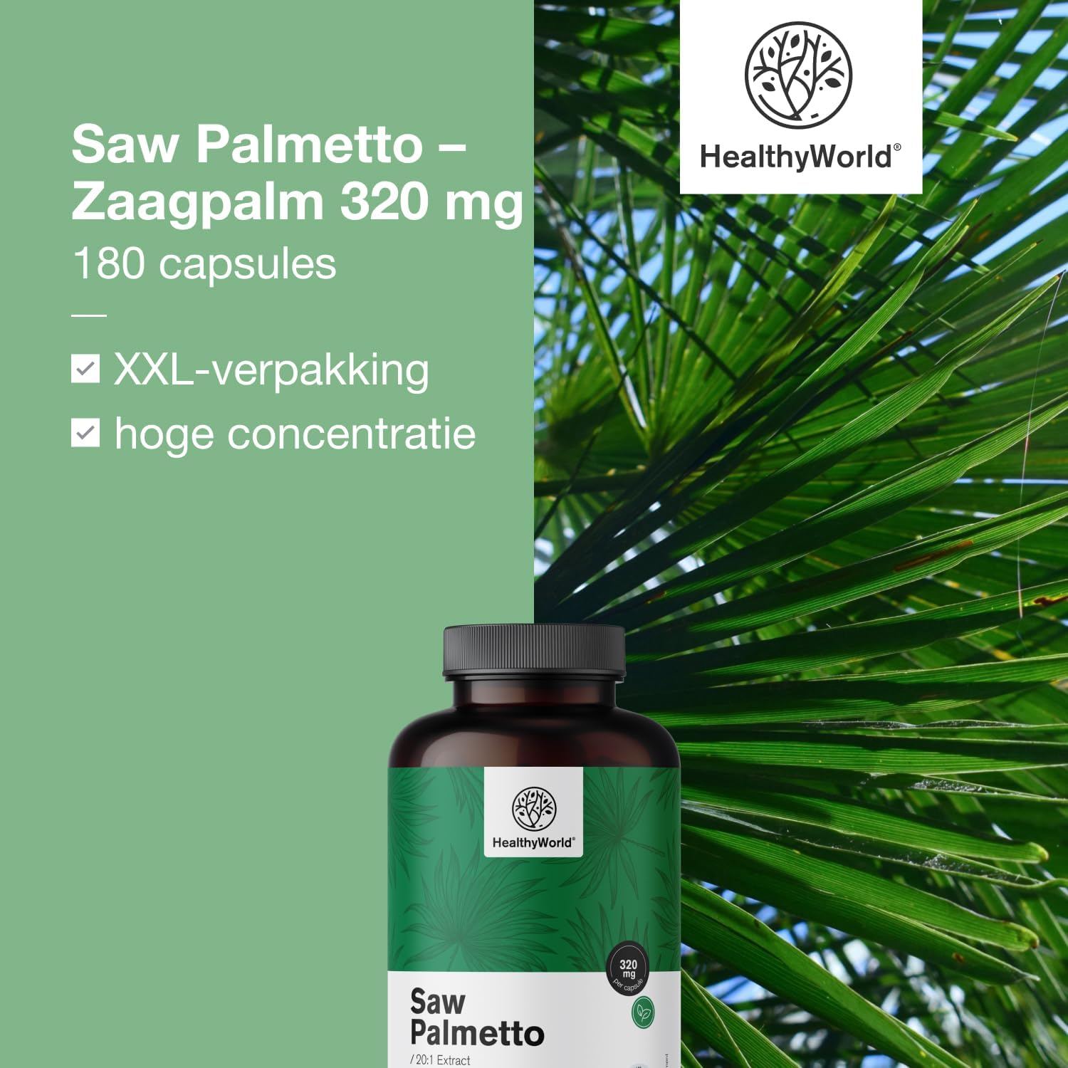 Detalle de HealthyWorld Saw Palmetto zaagpalmsupplement met zink, 20:1-extract, 180 capsules