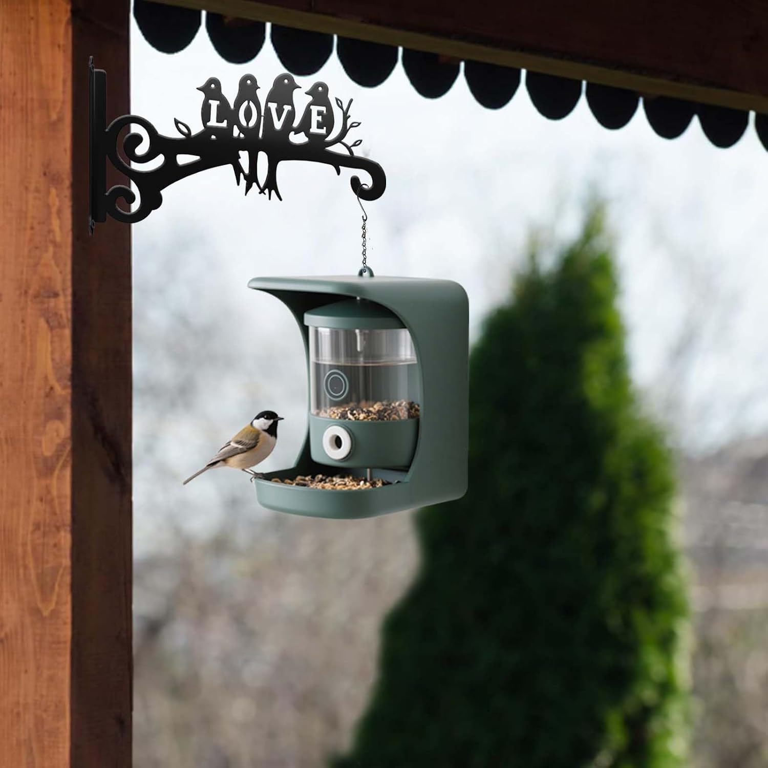 Detalle 2 de 2 PCS Metal Plant Hangers with Bird Design