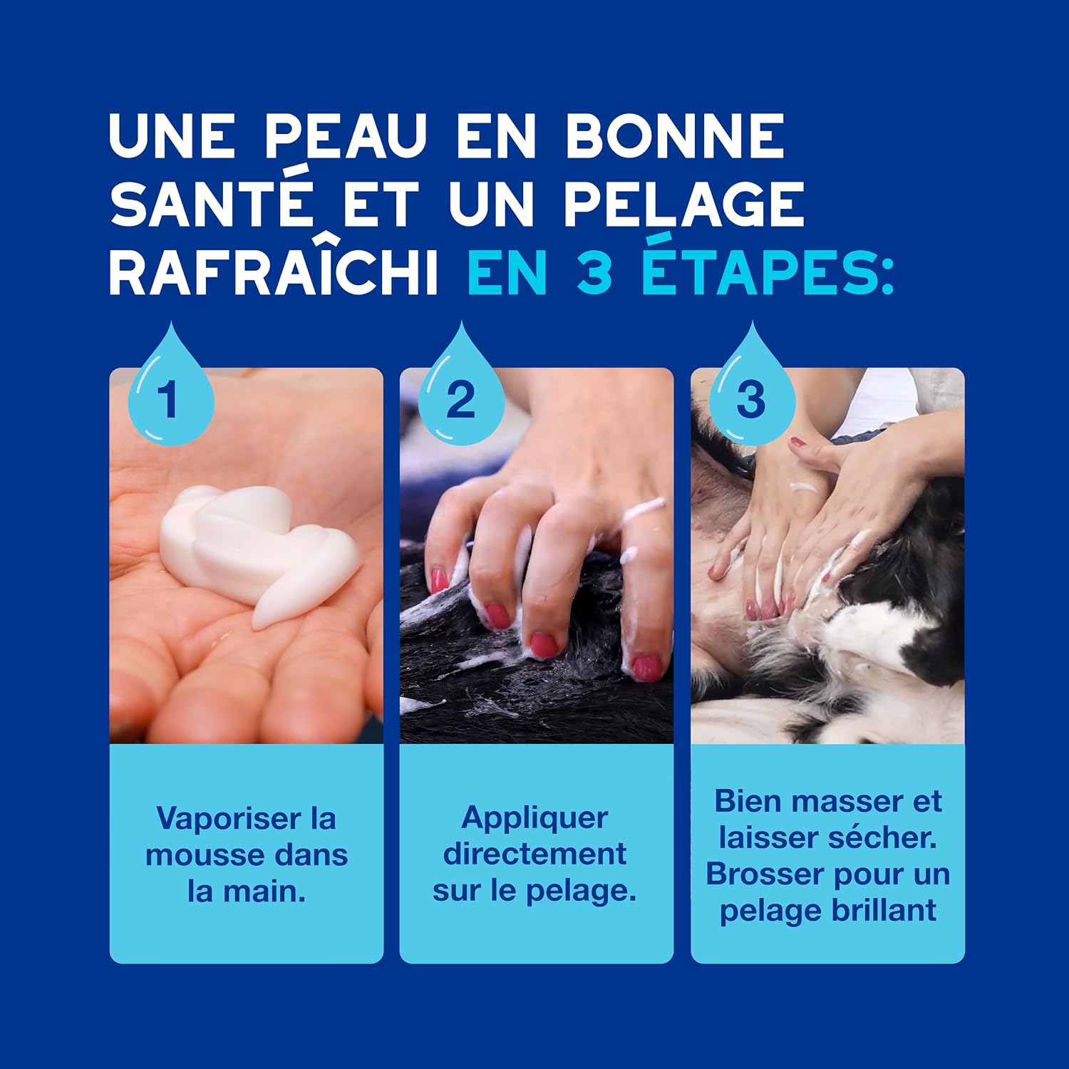 Detalle 2 de DOUXO Skin & Coat Spa Ultra-Safe Mousse sans rinçage pour Chiens – 150 ML
