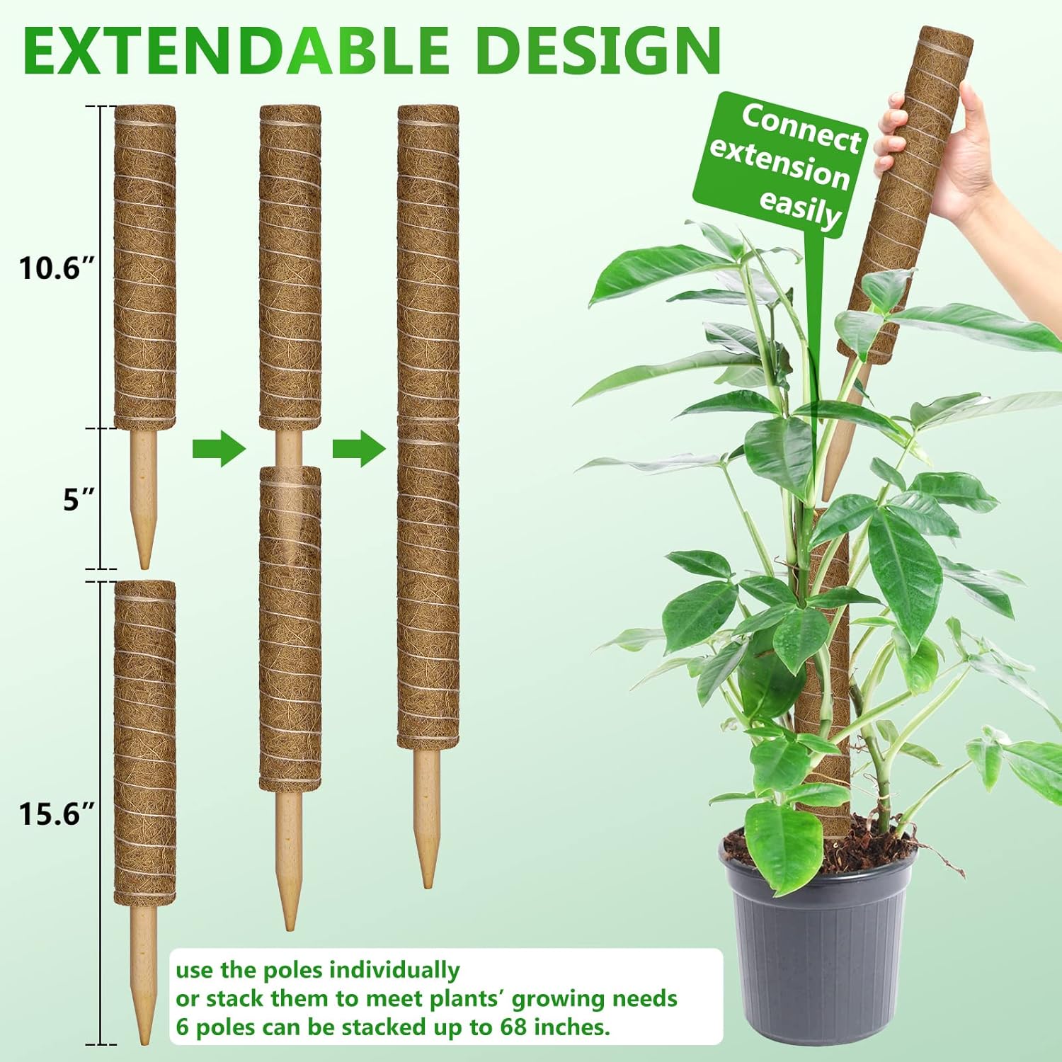 Detalle 2 de Moss Pole 173 cm 6-Pack coir climbing poles