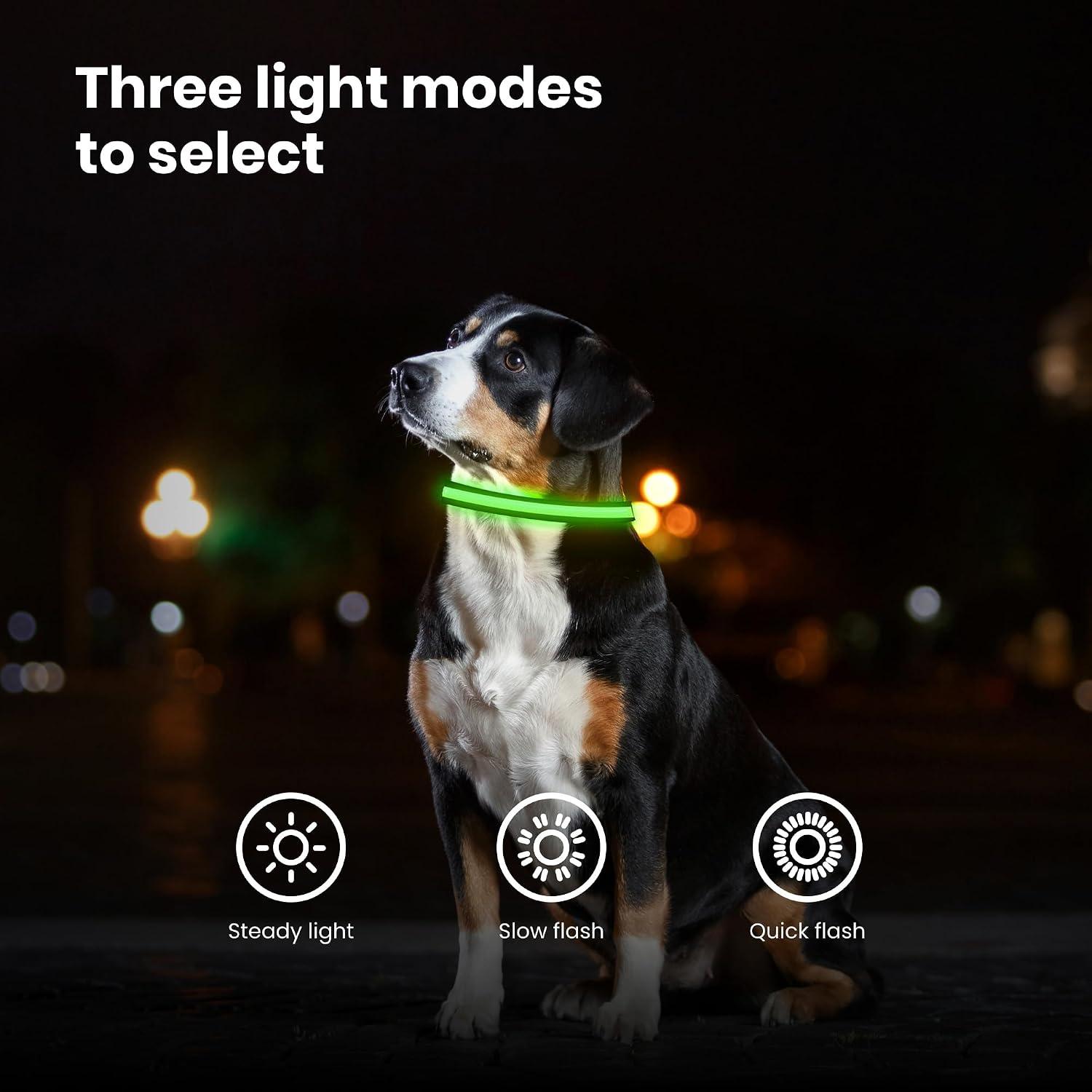 Detalle 2 de Fun Pets LED Dog Collar 50–60cm