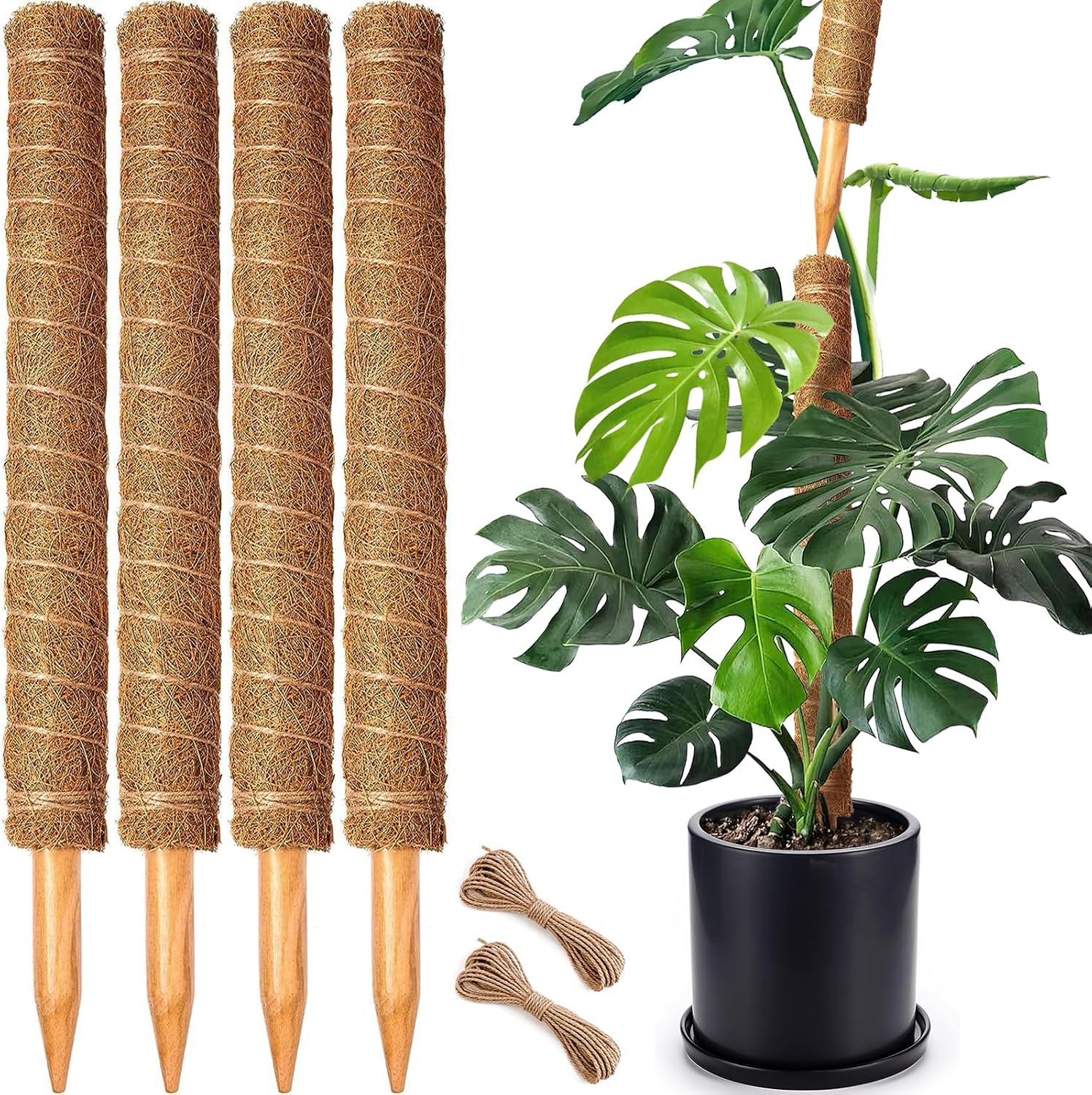 Detalle de CHIAFFI Moss Pole 4-Pack, 22-Inch Stackable Coir Plant Supports