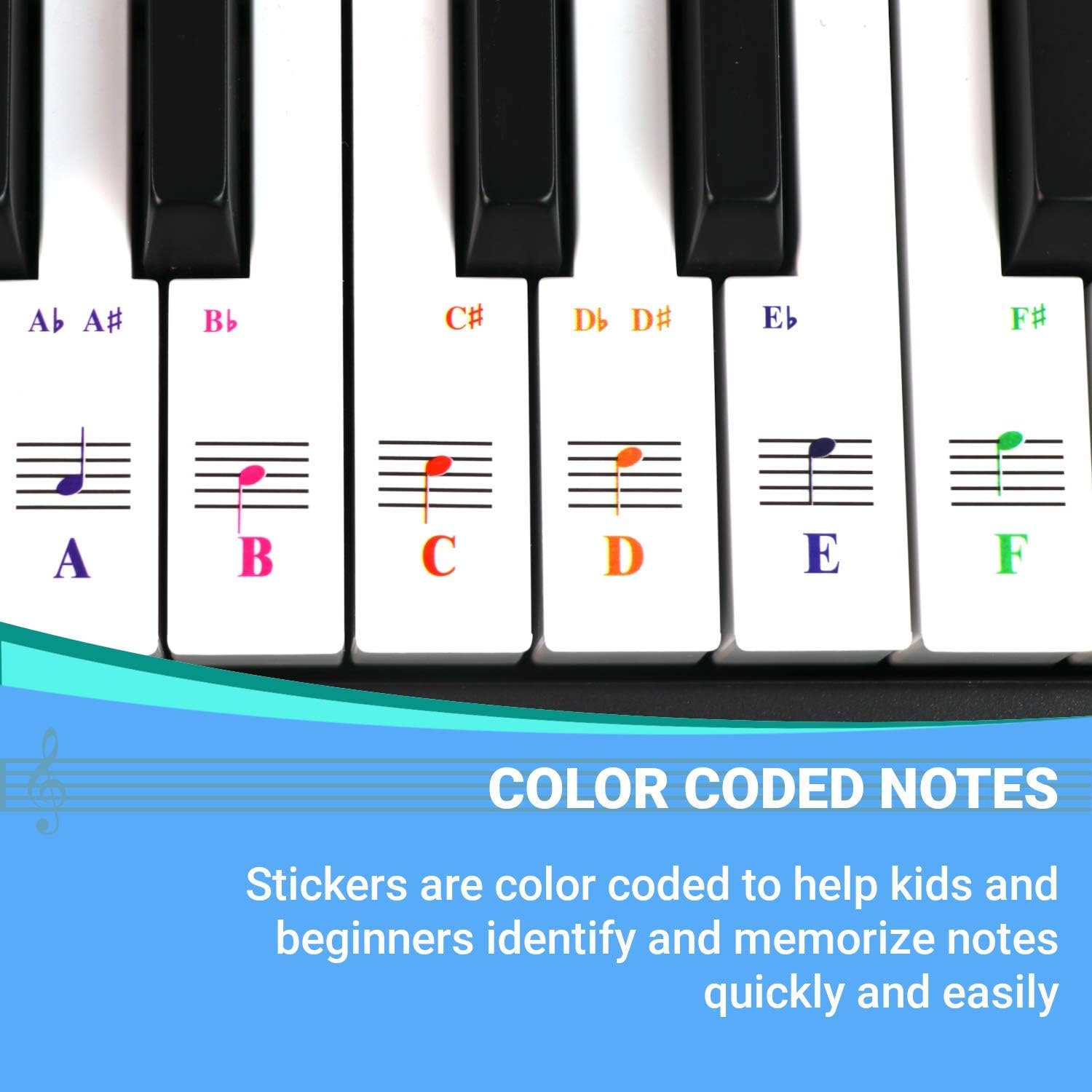 Detalle de QMG Piano Keyboard Note Stickers, 2-Pack, Transparent Vinyl for White Keys