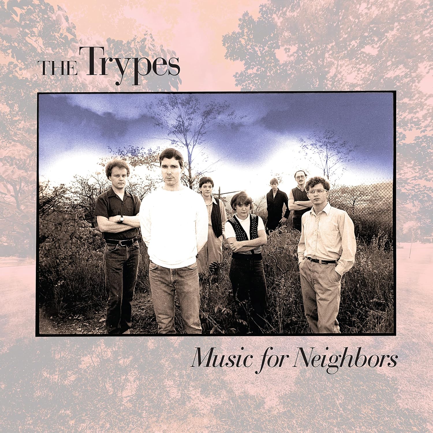Detalle de The Trypes Music for Neighbors Vinyl Record