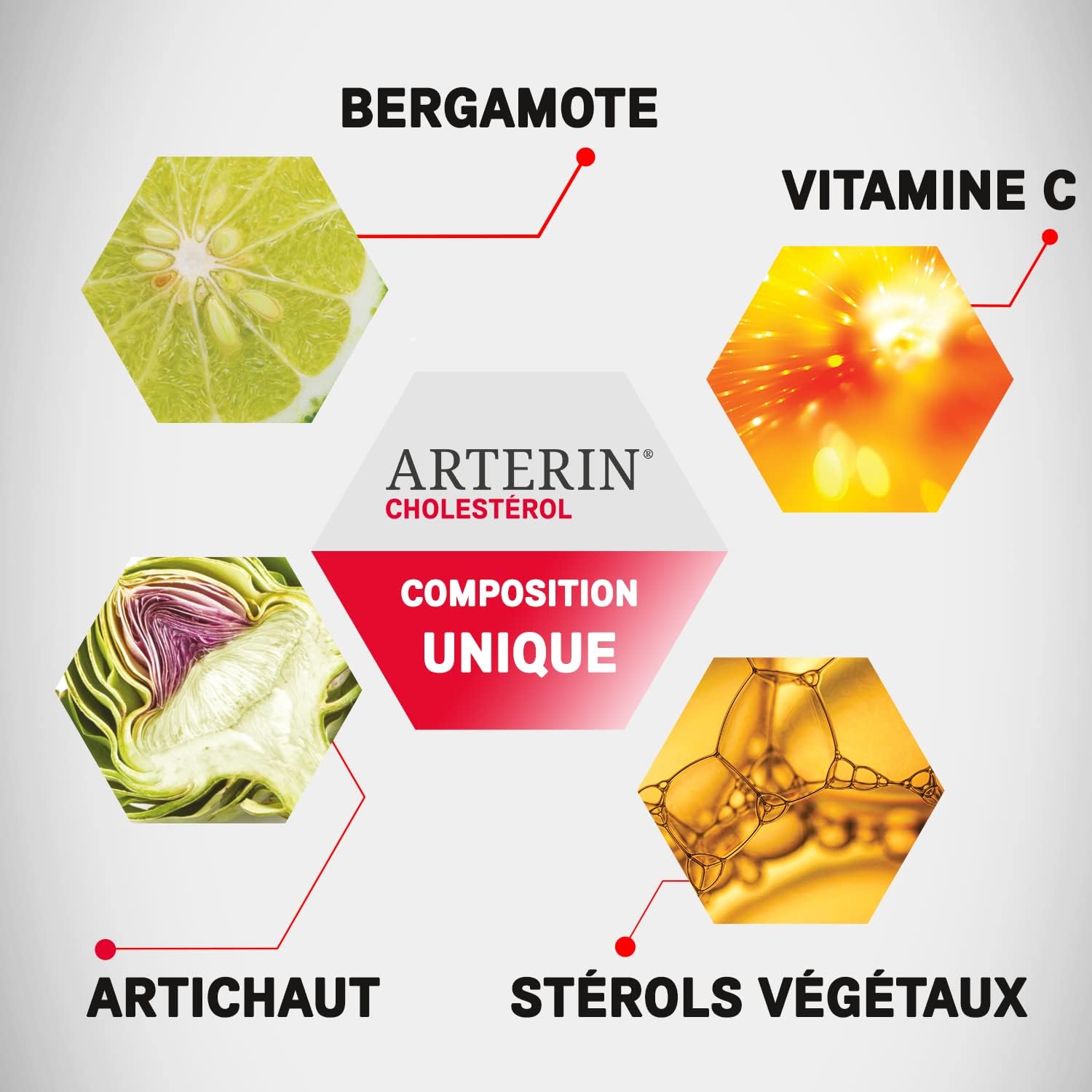 Detalle de ARTERIN Cholestérol – Complément alimentaire à base de plantes, stérols végétaux et vitamine C, 90 comprimés
