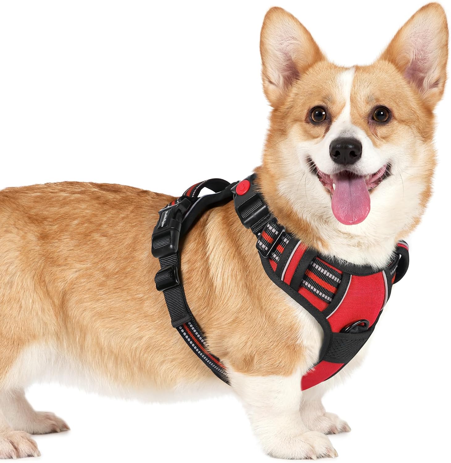 Detalle de rabbitgoo Dog Harness Red, Neck Release M