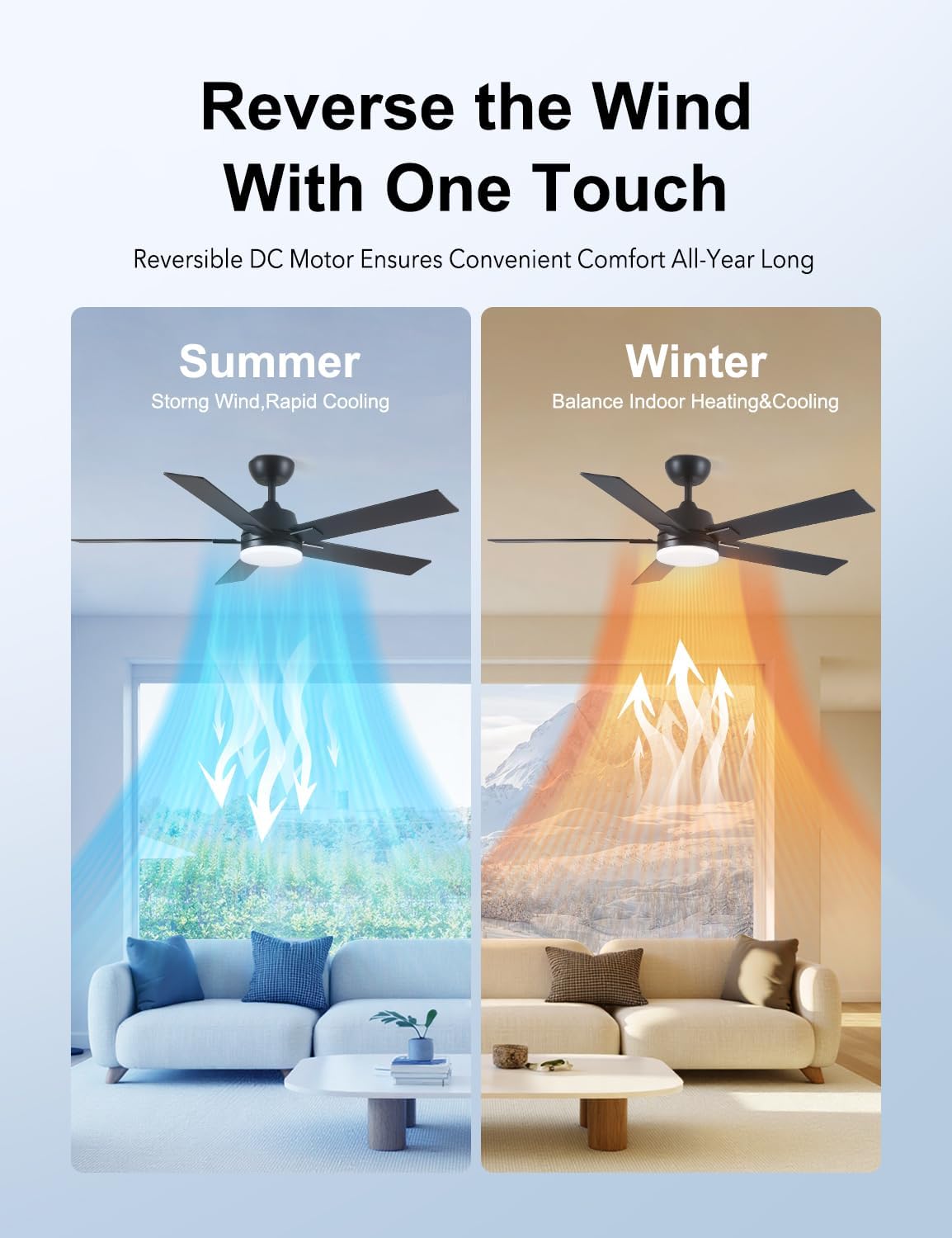 Thumbnail 5 de Rayqueen 52-Inch Black Ceiling Fan with Lights and Remote
