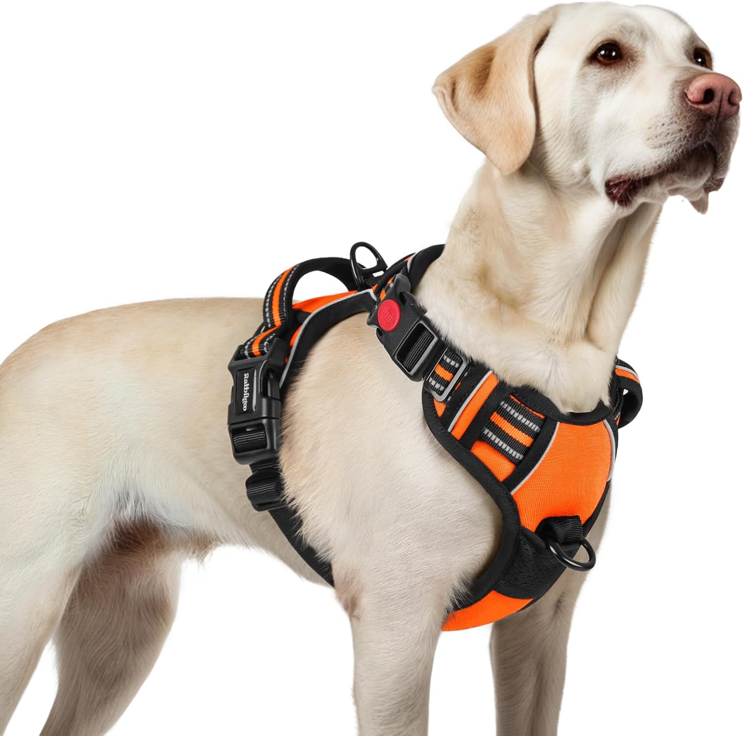 Detalle de rabbitgoo Hundegeschirr Große Hunde L 🐕