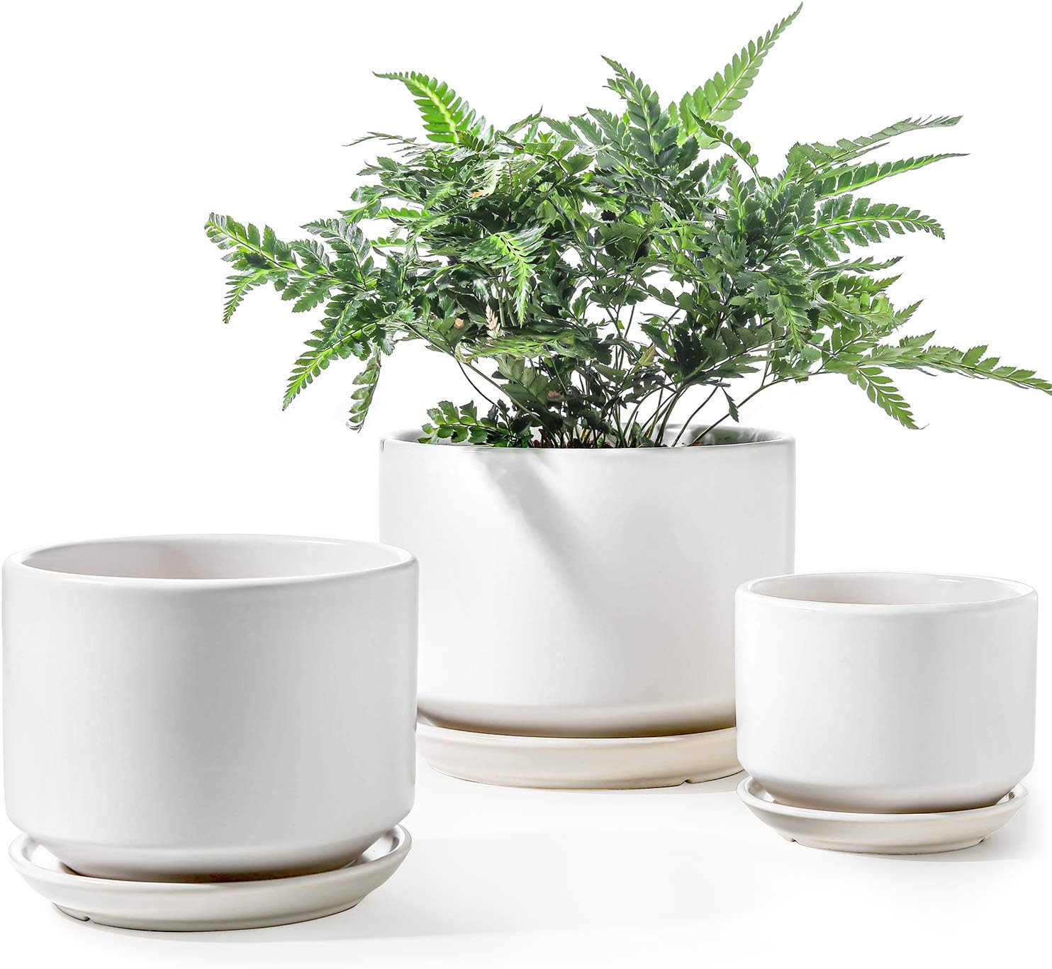 Detalle de LE TAUCI Ceramic Plant Pots set with drainage 11 cm 🌱