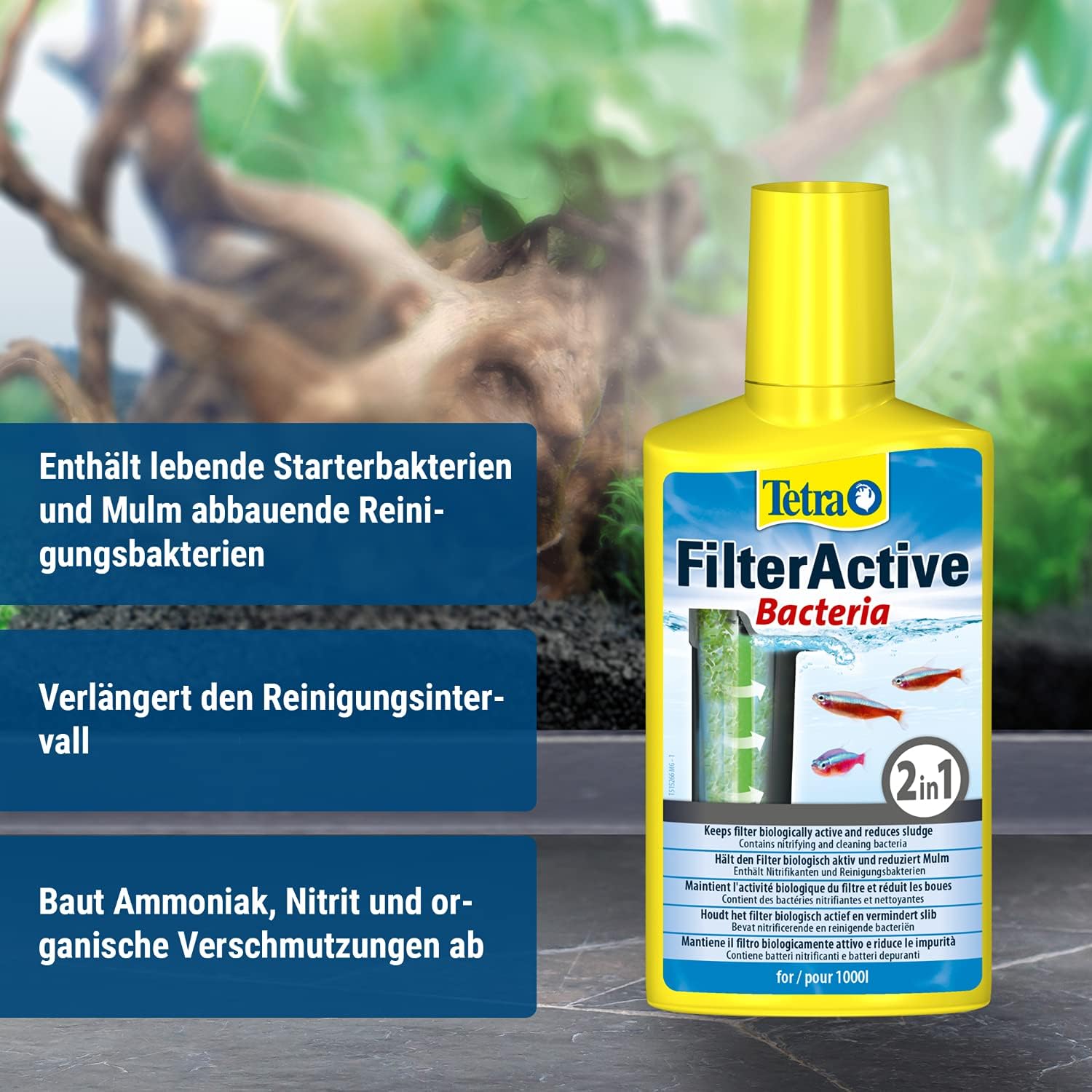 Detalle de Tetra FilterActive Bacteria 2in1 – Starterbakterien + Schlammabbau für Süßwasseraquarien (250 ml)