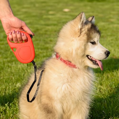 Detalle 2 de Ferplast Flippy One Cord S correa retráctil 4,5 m para perros