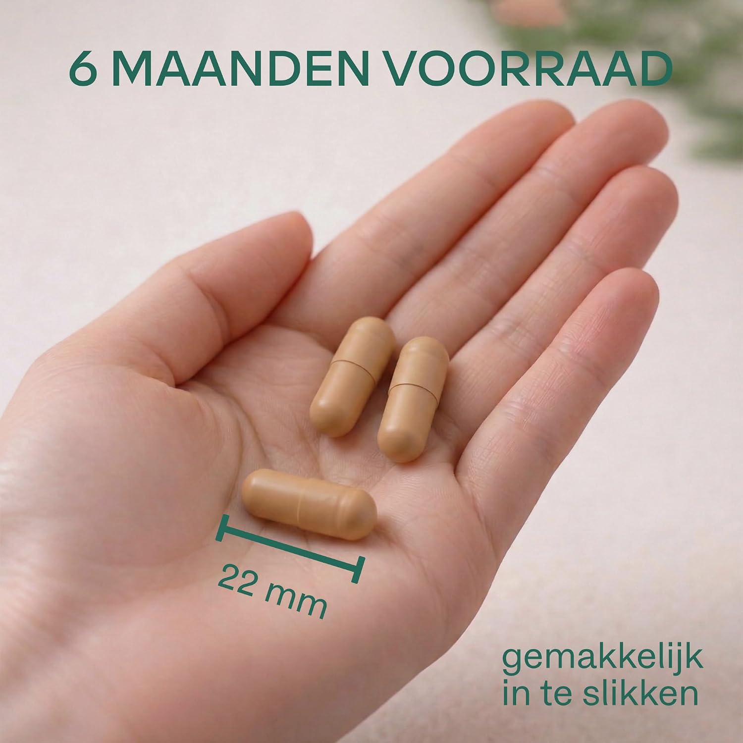 Thumbnail 6 de AAVALABS Ginkgo Biloba Complex, 50:1-extract, 180 veganistische capsules