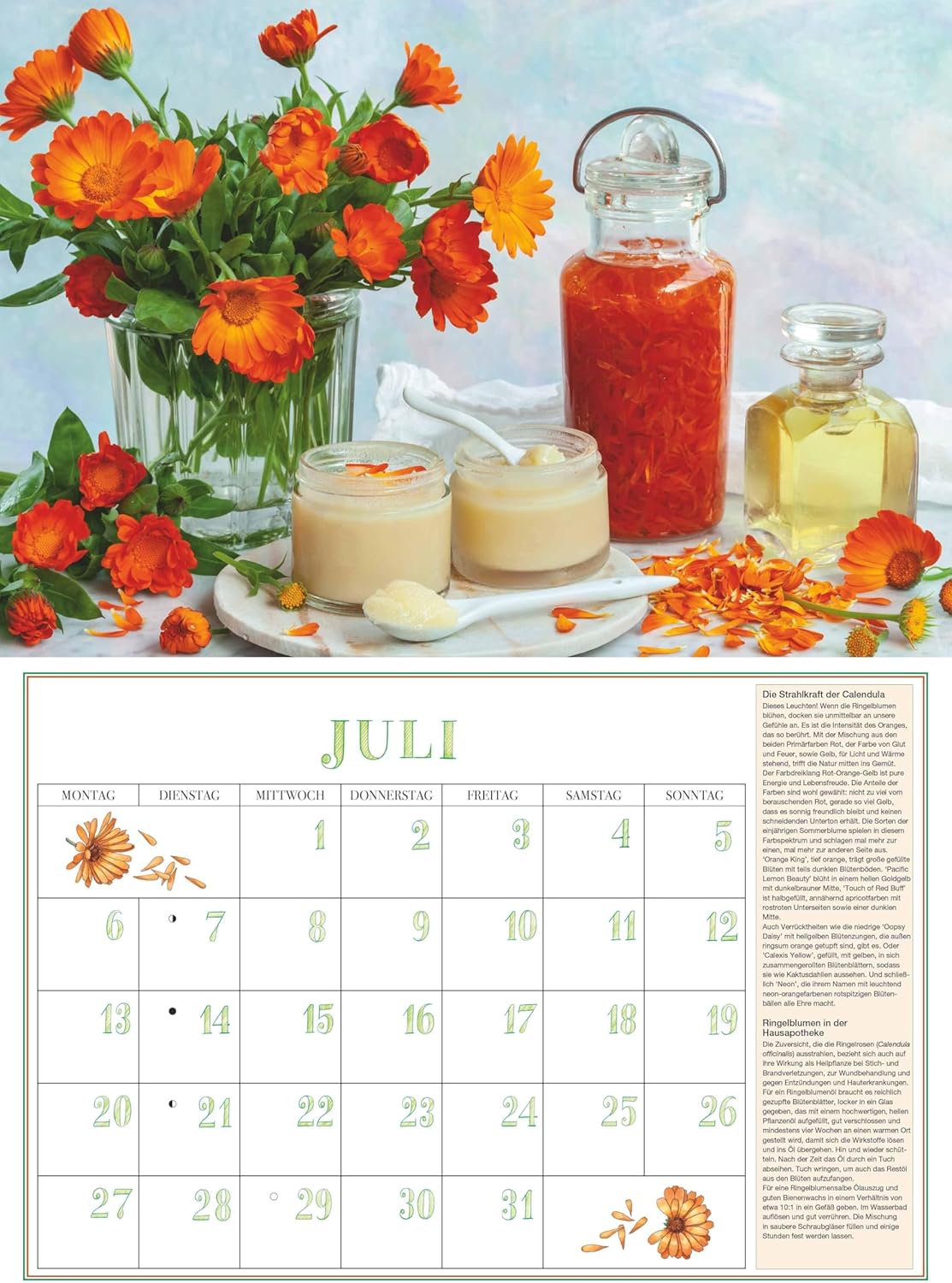 Thumbnail 4 de DUMONTS Aromatische Kräuter 2026 – Broschürenkalender 42 x 29 cm mit Rezepten, Texten & Farbfotografie für Kräuter- und Kochliebhaber