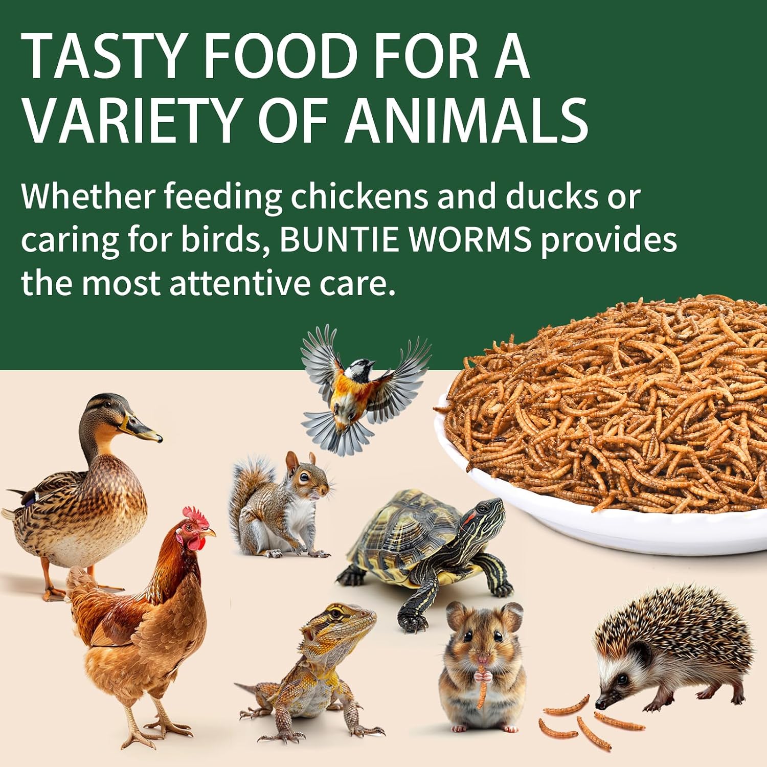 Thumbnail 6 de BUNTIE WORMS Dried Mealworms, 10 lb