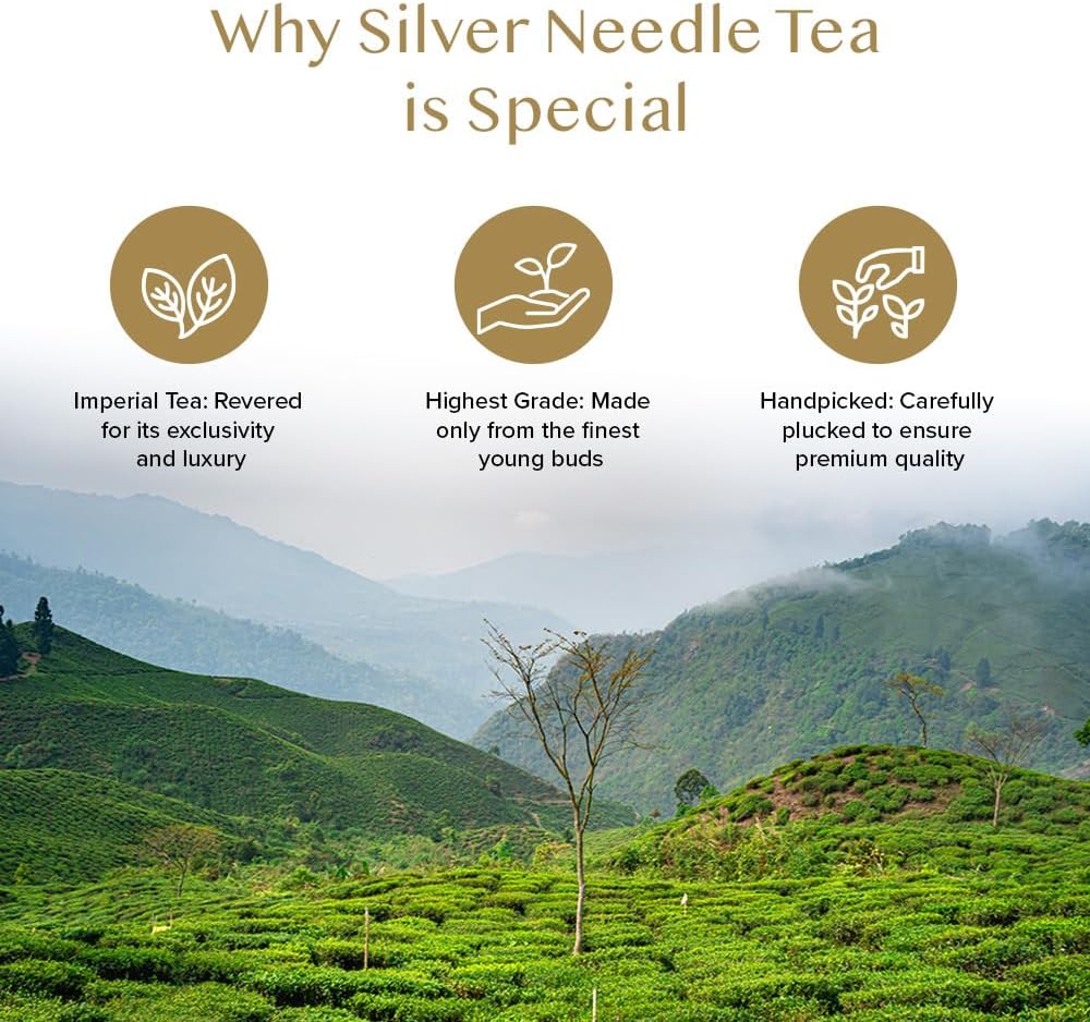 Detalle de VAHDAM Thé Blanc Silver Needle — 50 g en vrac, thé blanc pur à faible caféine