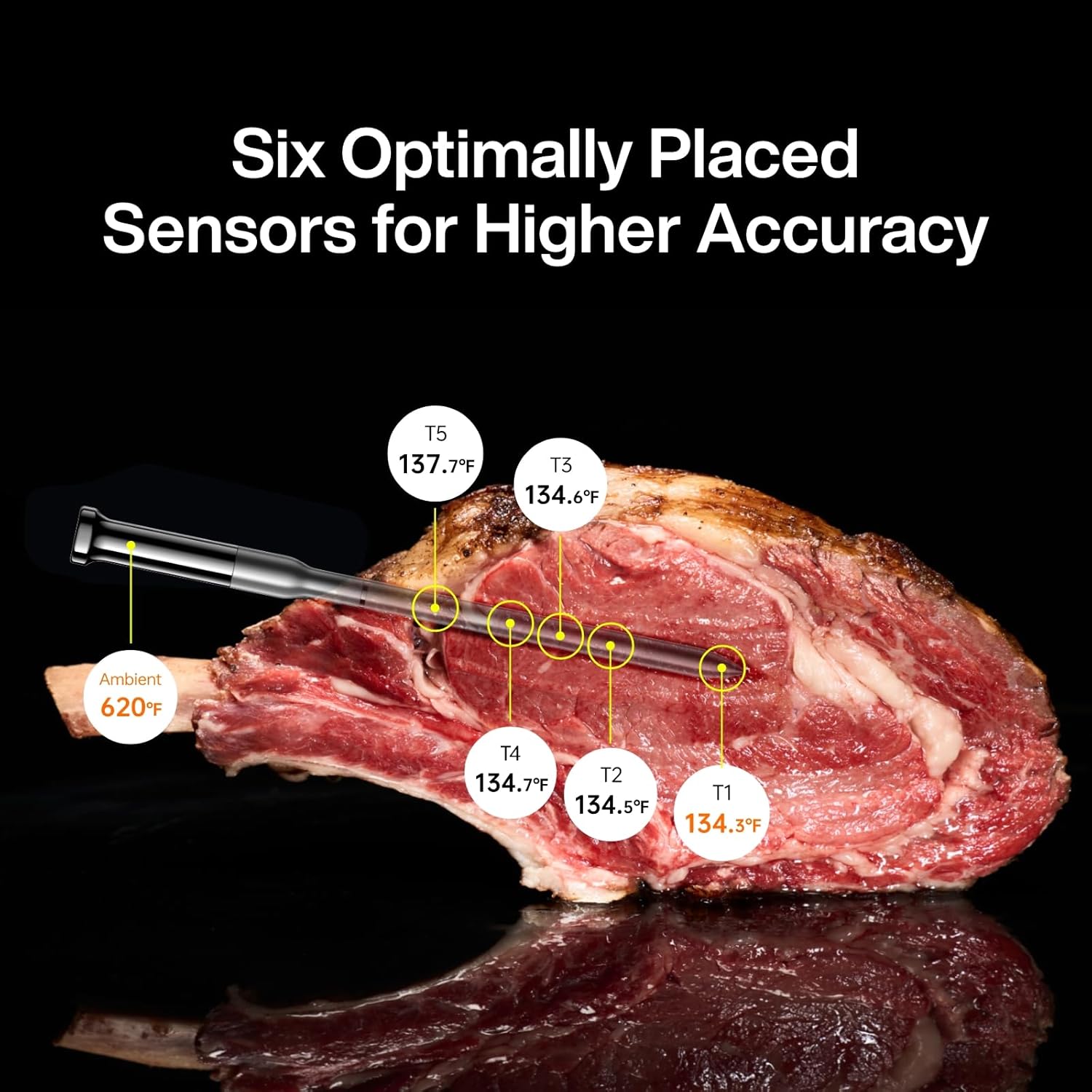 Detalle 2 de Typhur Sync Gold meat thermometer 6 sensors 🍖