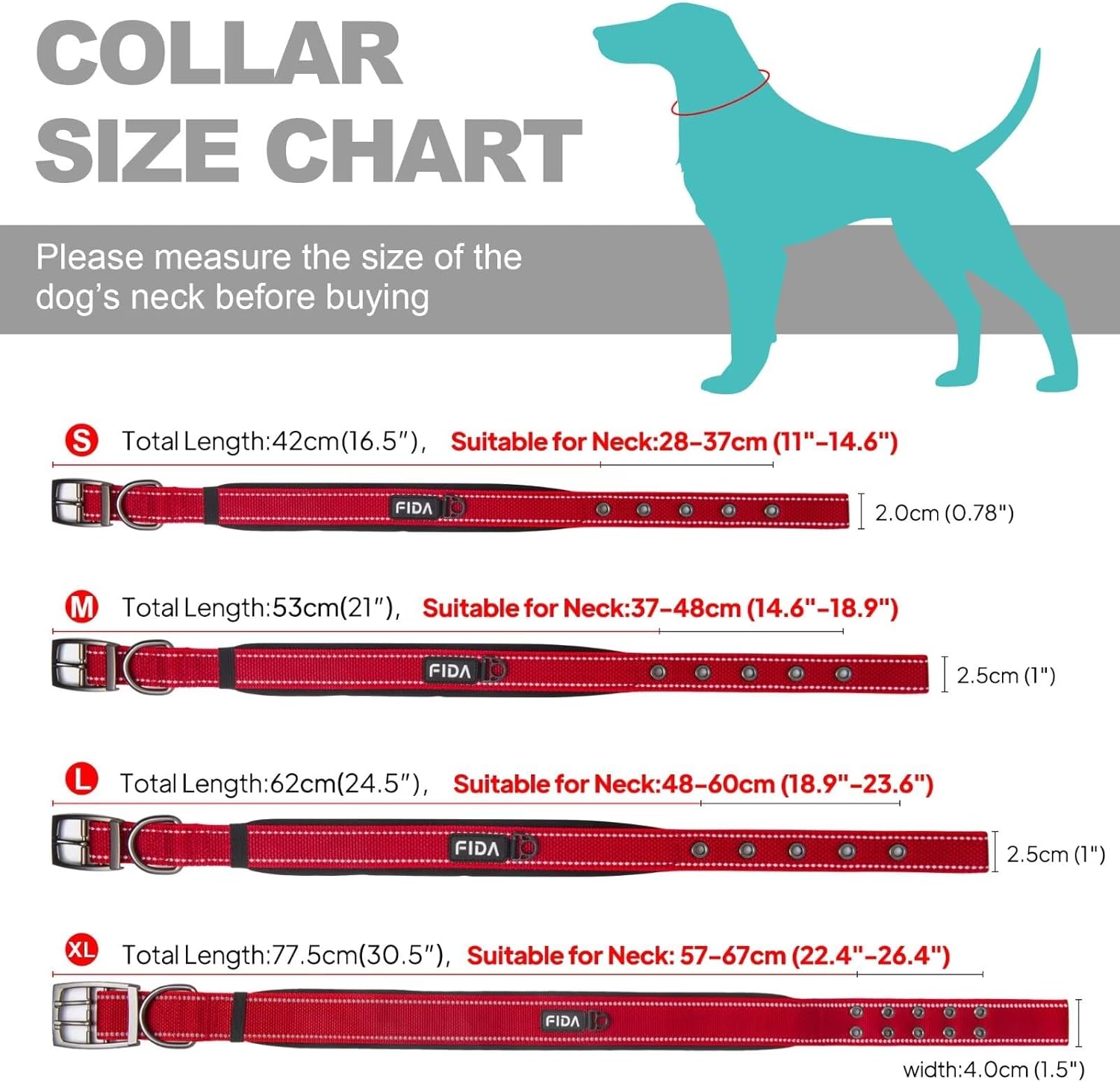 Thumbnail 4 de Fida Padded Dog Collar with Metal Buckle