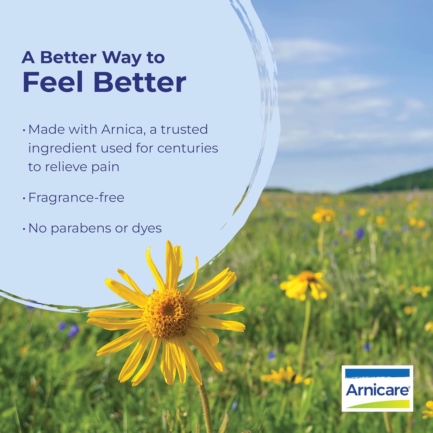 Thumbnail 4 de Boiron Arnicare Gel for Relief of Joint, Muscle Pain, and Swelling (2.6 oz) – Fragrance-Free & Non-Greasy