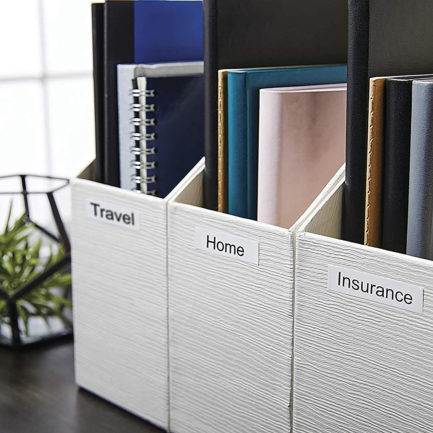 Thumbnail 5 de DYMO D1 étiquettes 12 mm x 7 m 🏷️